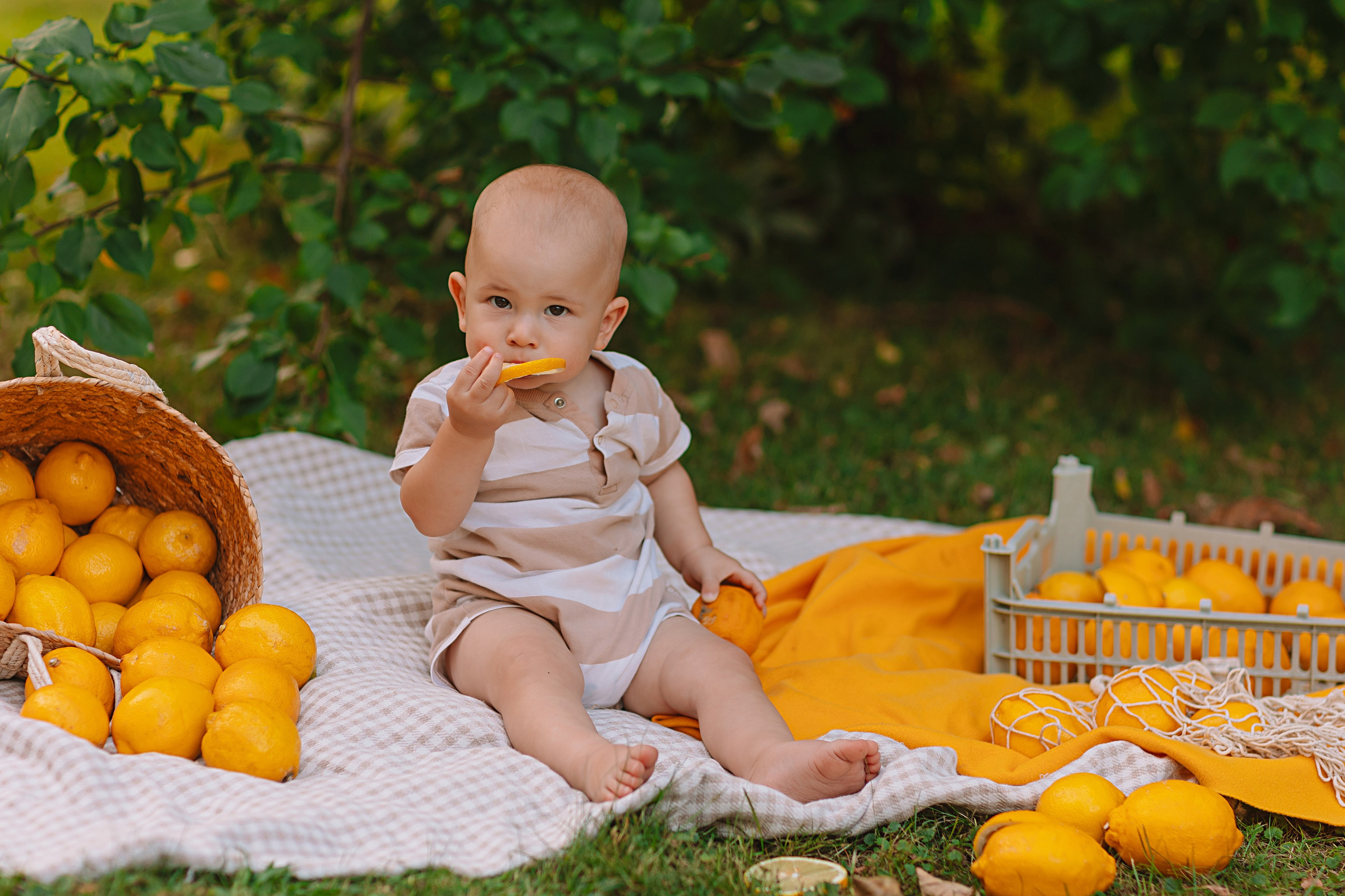 Лимоны. Семейный фотограф Тюмень, фотограф на роды Салмина Мария