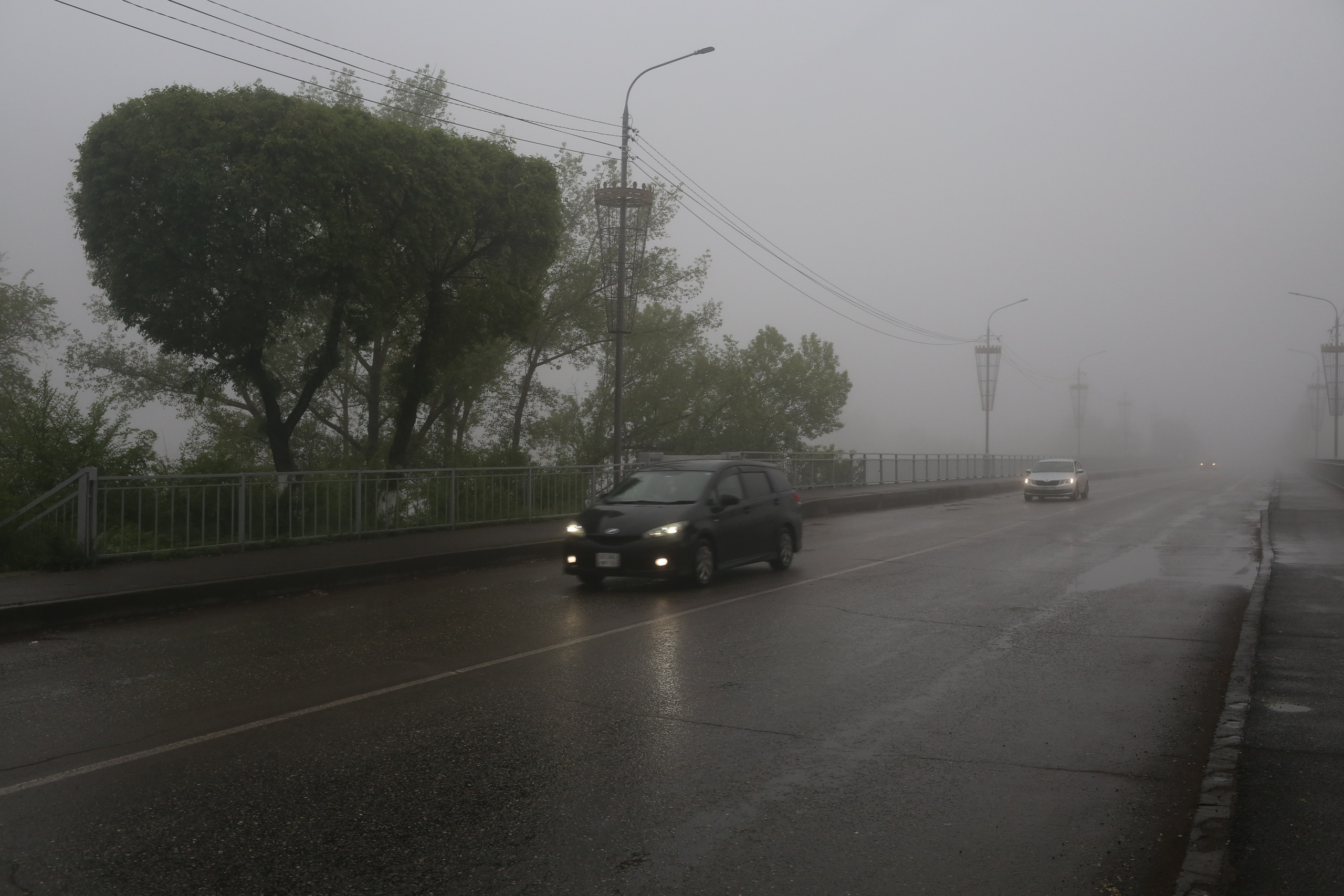 1.06.26 Туман. Предметная фотография. Персональный сайт Сергея Ру. город Минусинск