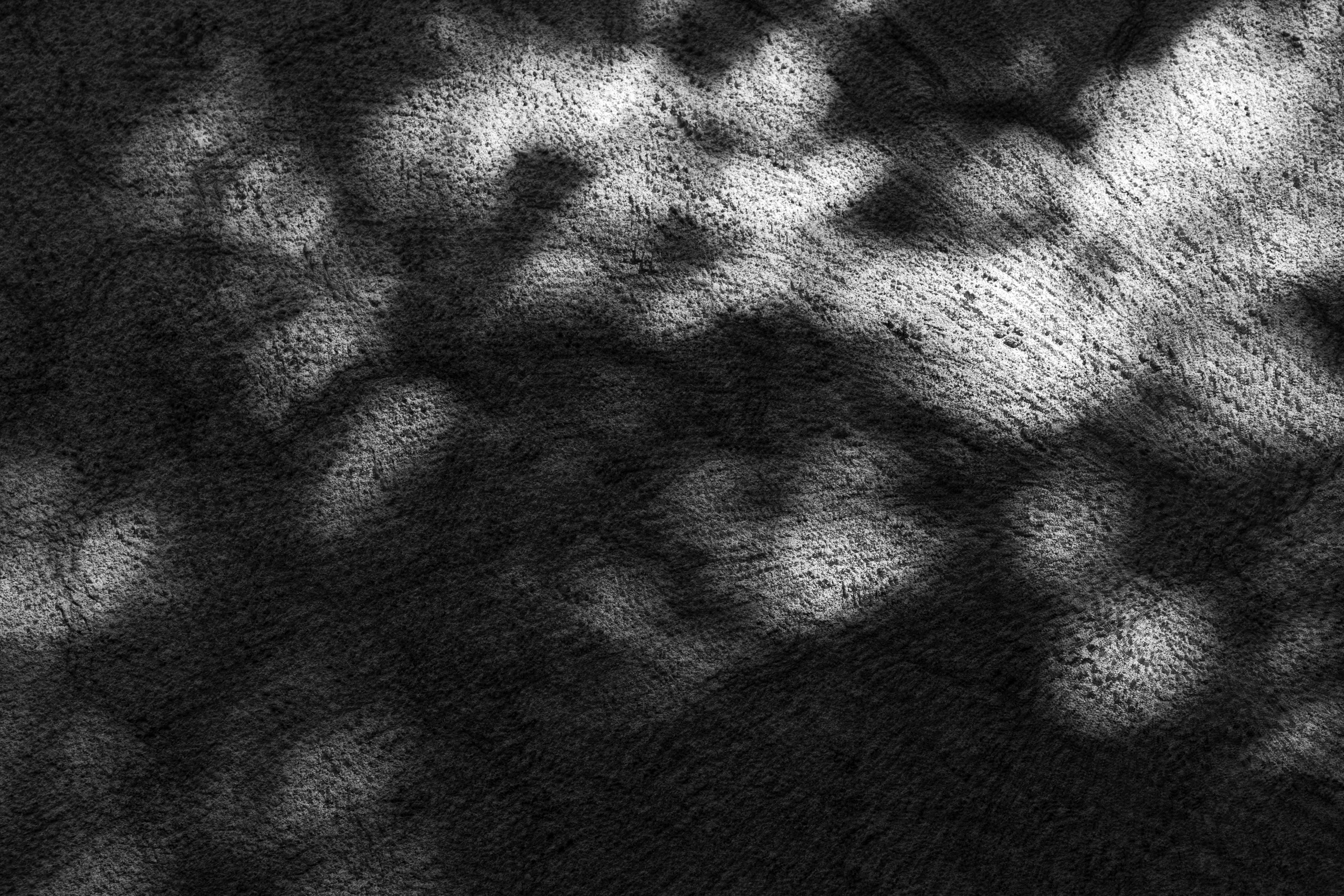 Art prints. Фотограф алина стерхова, алина стерхова фотограф, фотограф москва