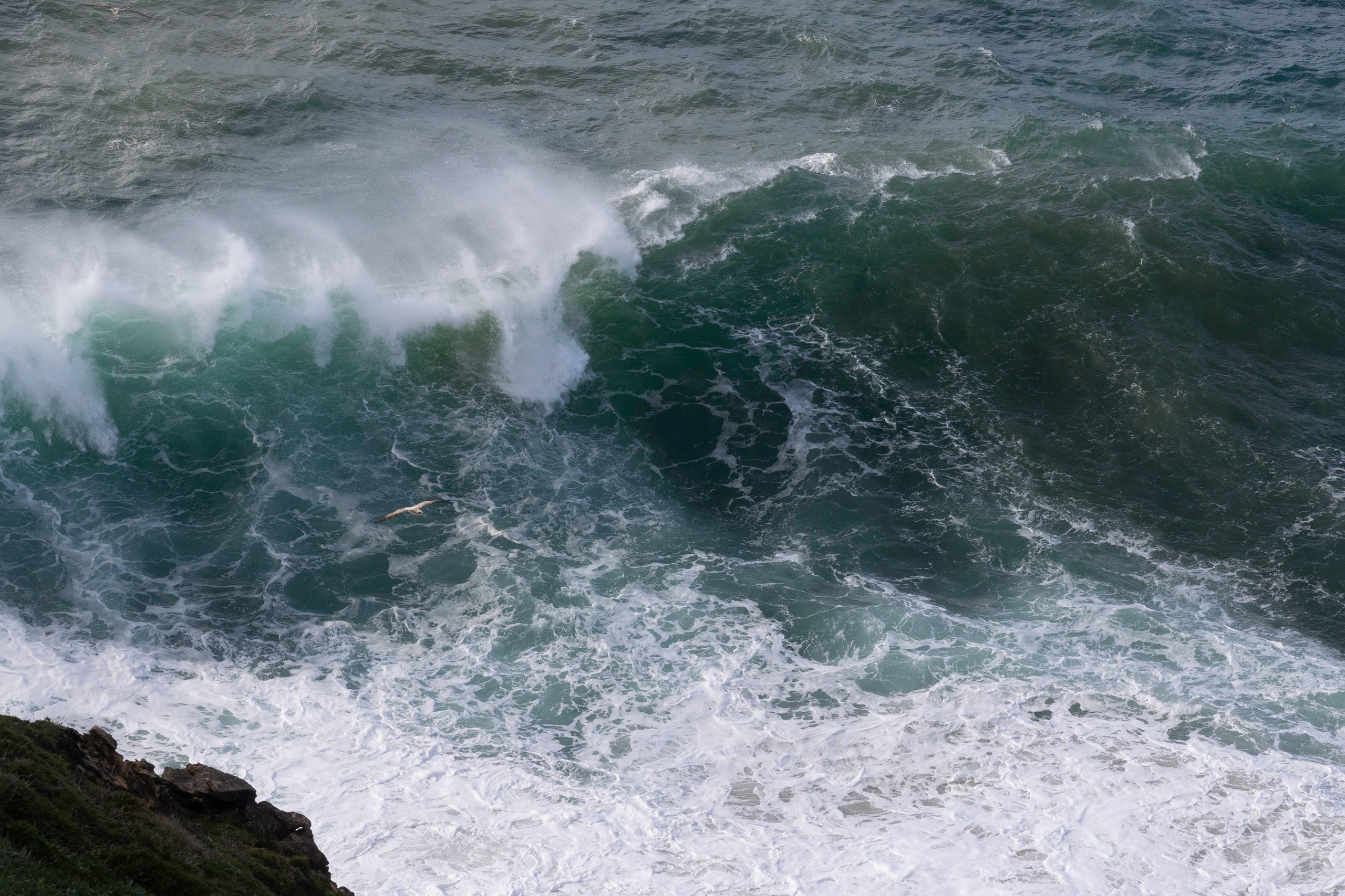 Art prints. Фотограф алина стерхова, алина стерхова фотограф, фотограф москва