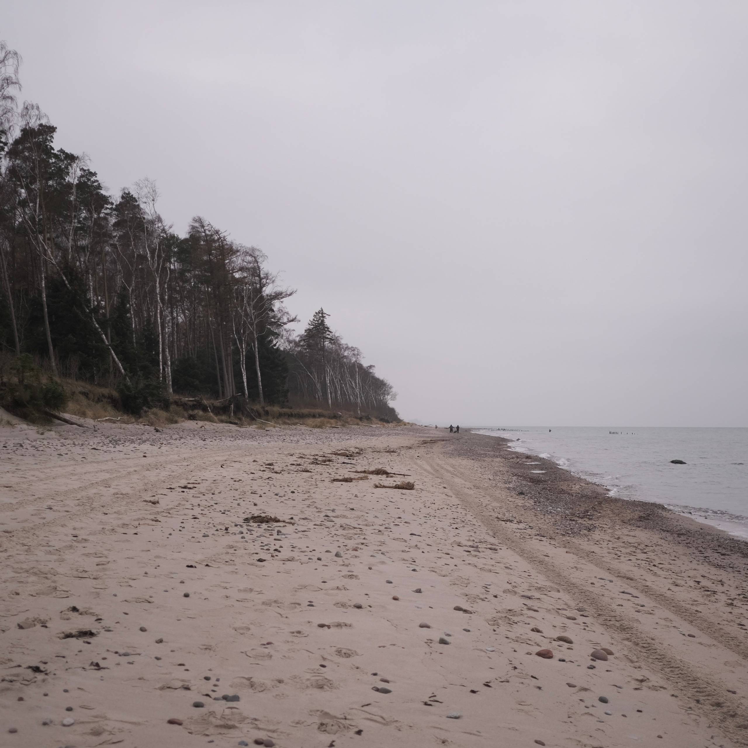 Калининград. LIYALEE PHOTO