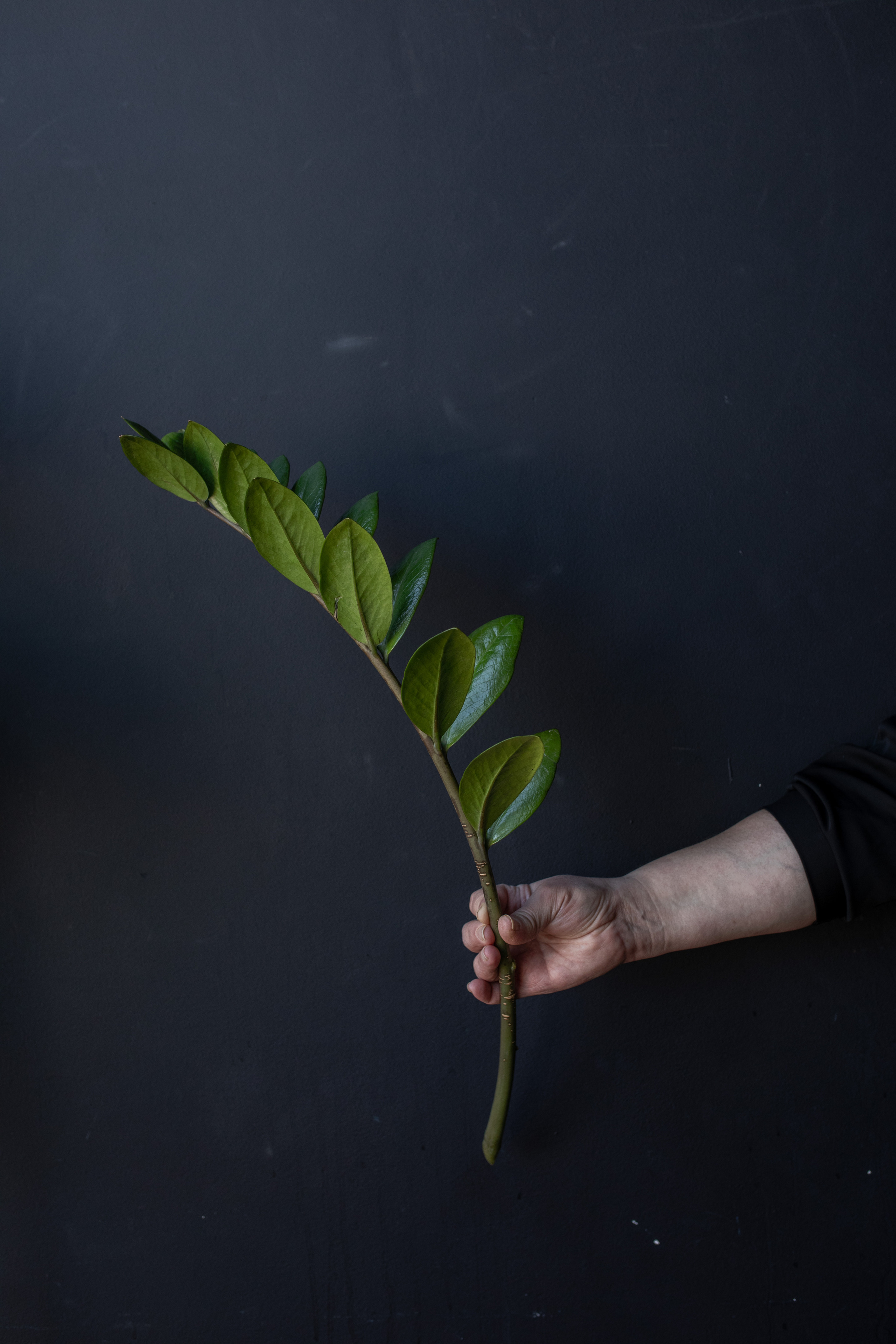 Съёмка для флориста. Фотограф в Москве Ира Никина