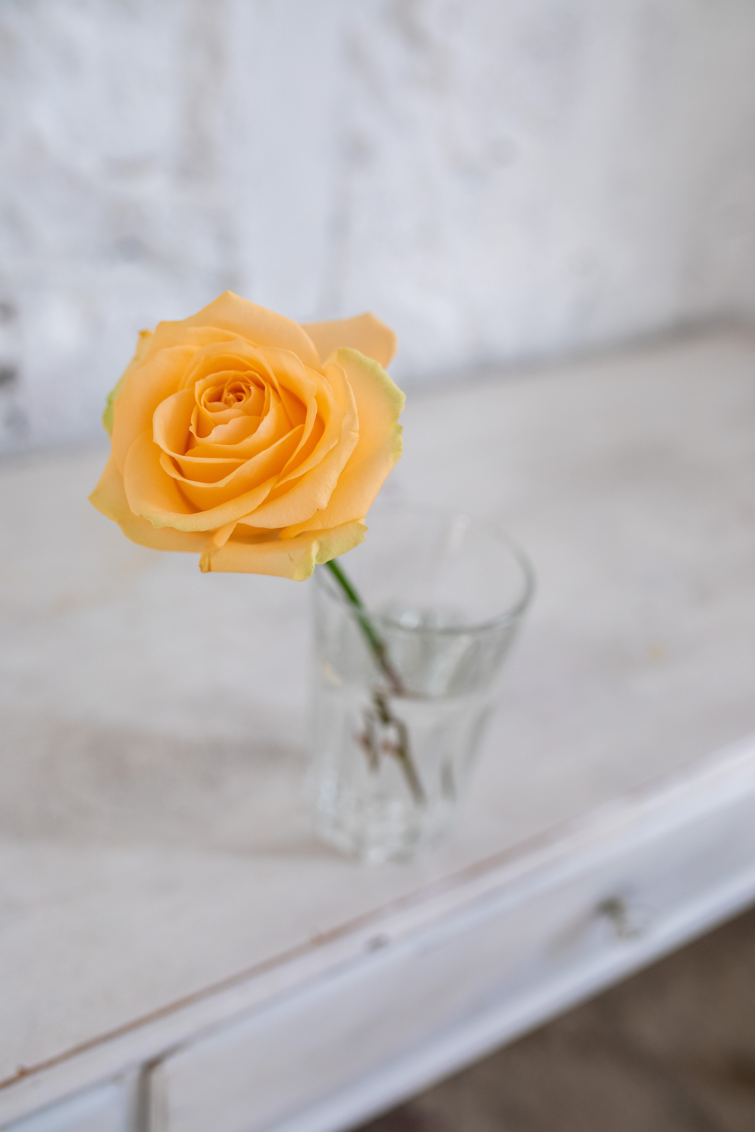 Съёмка для флориста. Фотограф в Москве Ира Никина