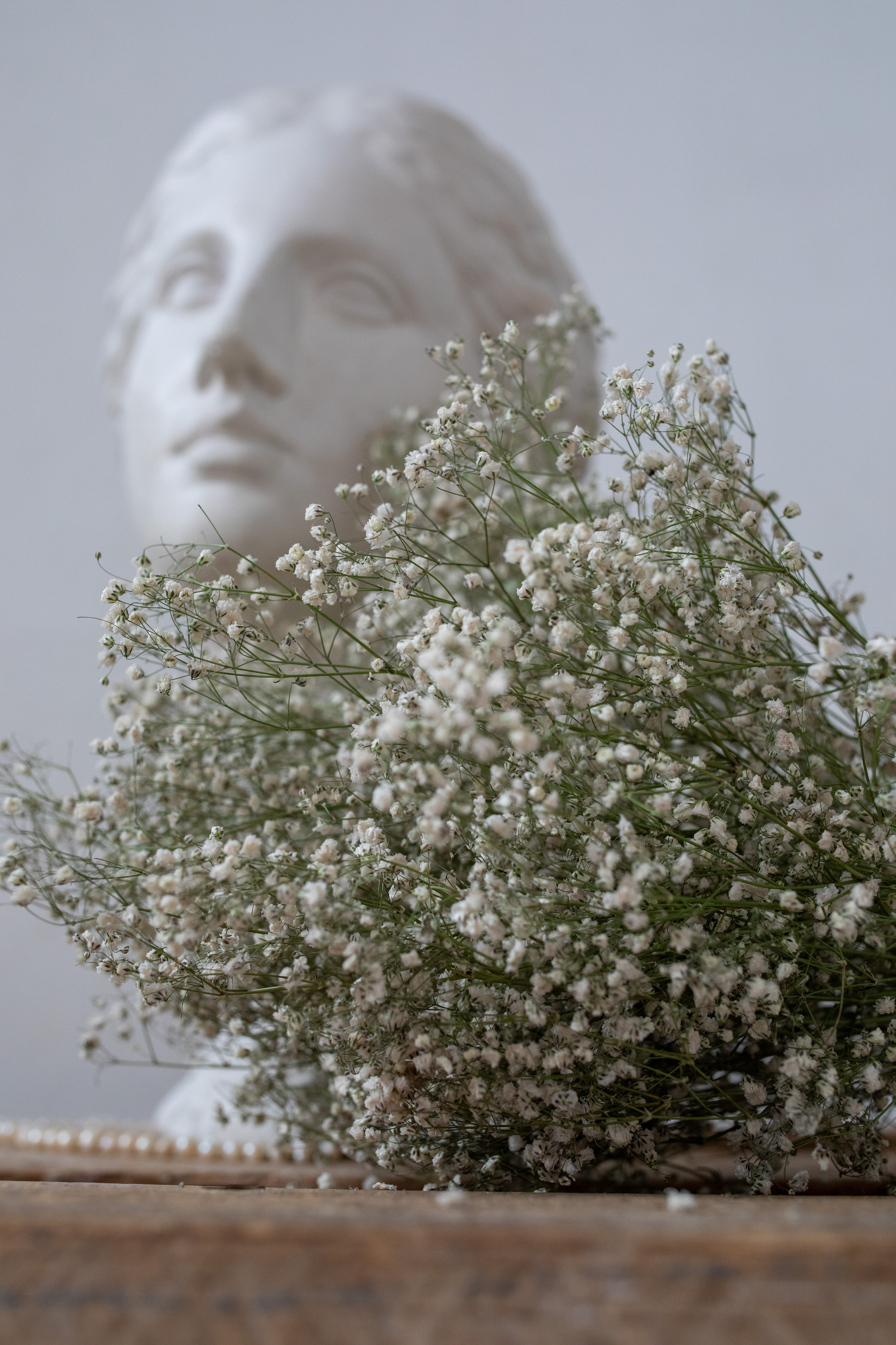 Съёмка для флориста. Фотограф в Москве Ира Никина