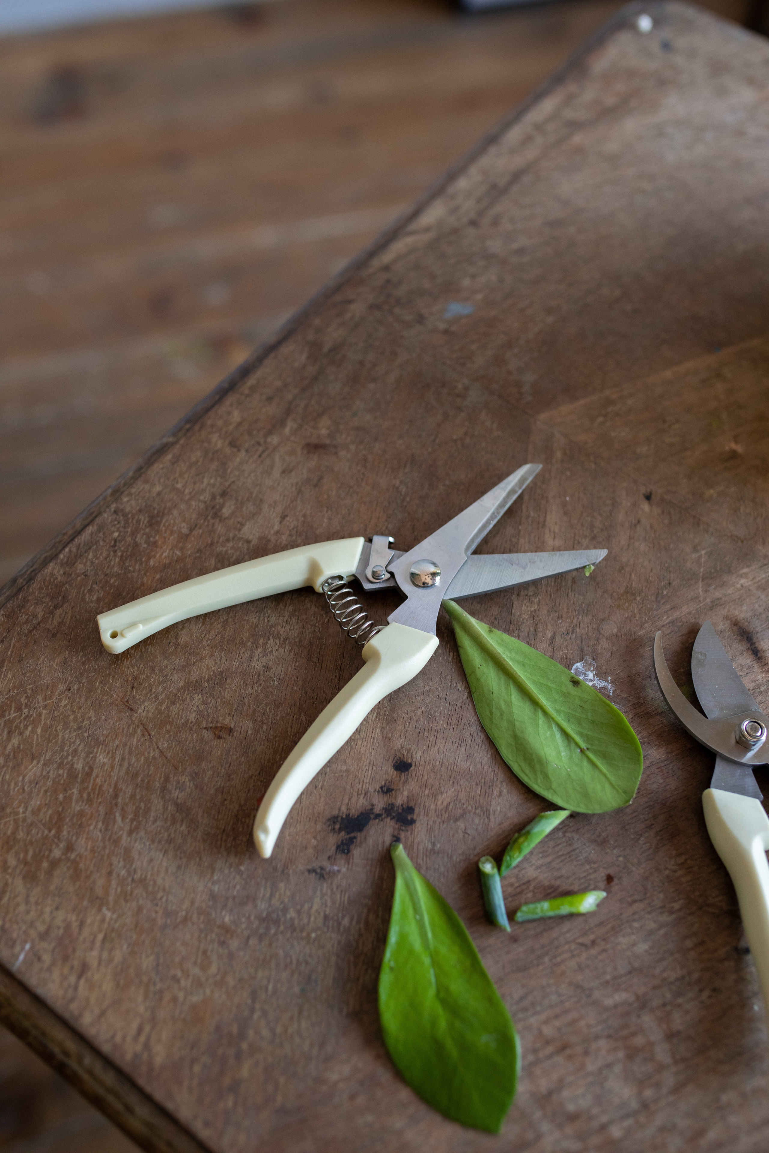 Съёмка для флориста. Фотограф в Москве Ира Никина