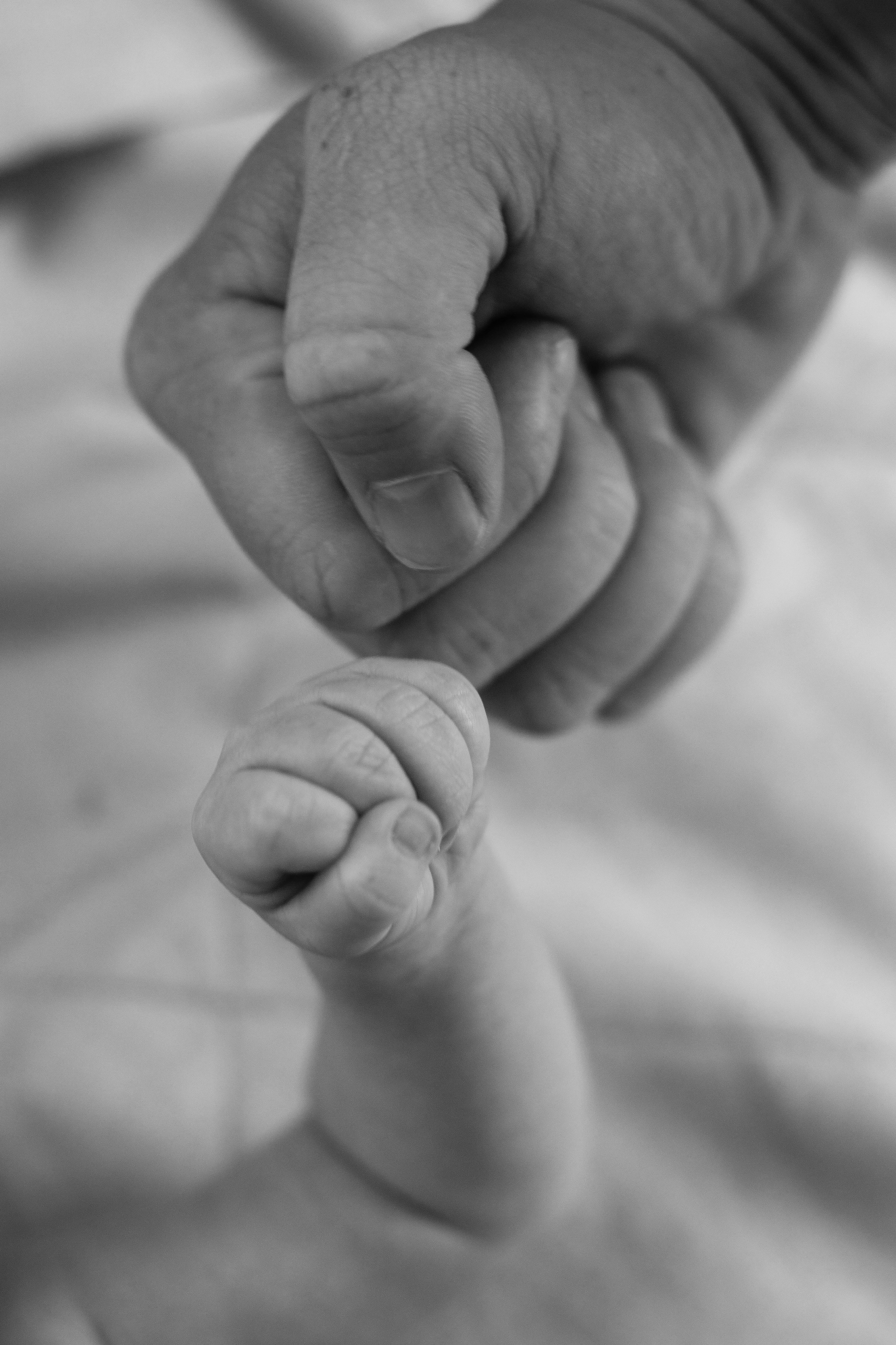 Макро серия. Фотограф новорожденных в Москве Кристина Ткач
