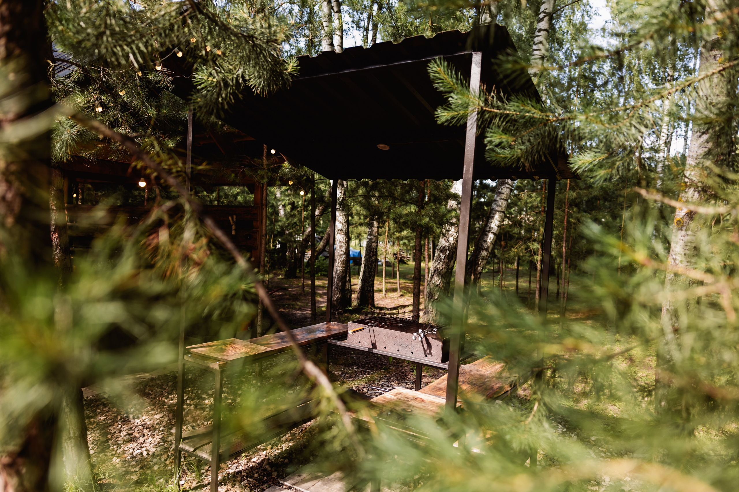 БЕРЕЗКА ВИЛАДЖ | Глэмпинг в Коломне | Юрта «Лесная». ФОТОГРАФ ИРИНА ШАМАТАВА