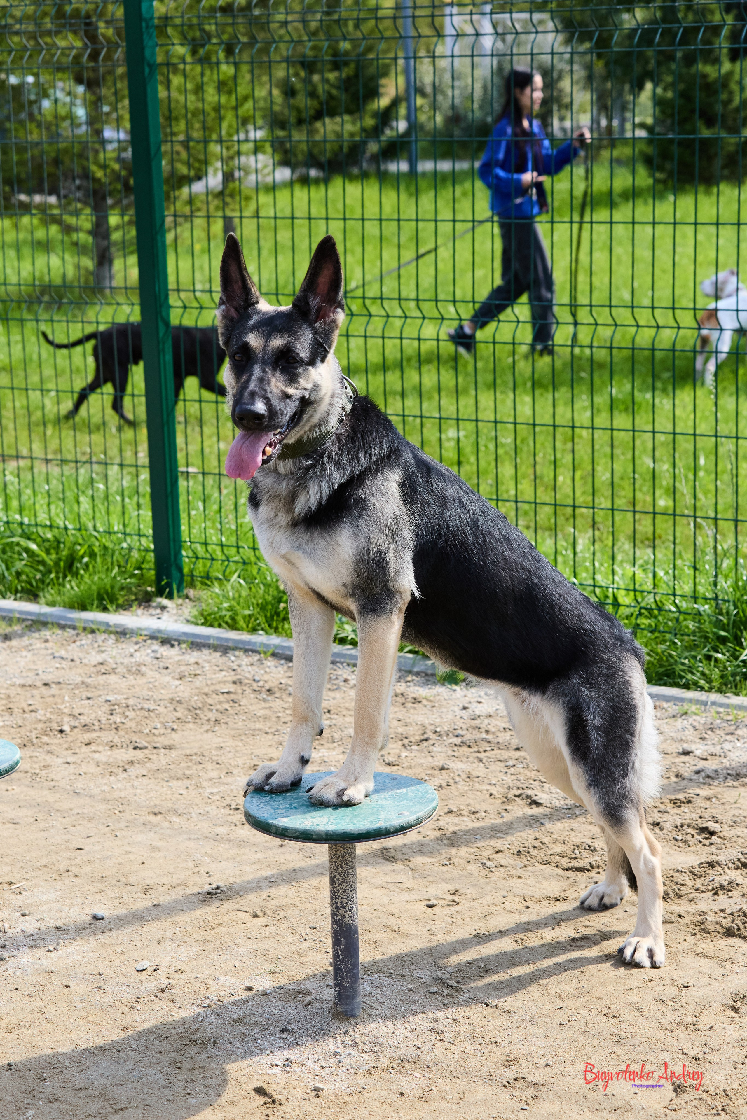 Проект фотопрогулка с хвостиком. Buyvolenko Andrey