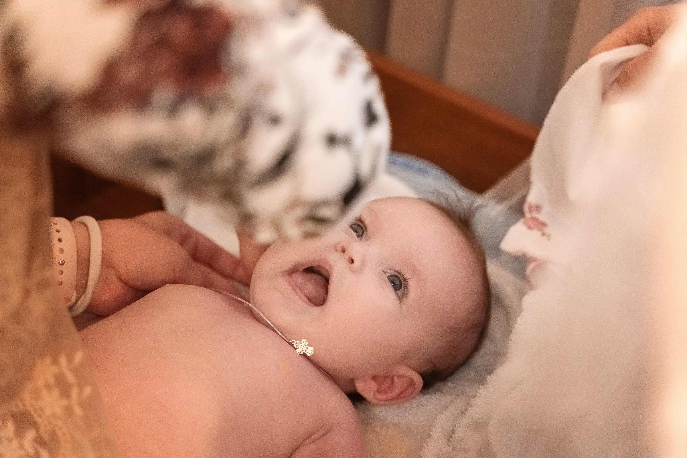 Вероника. Семейный и свадебный фотограф в Москве Леванова Александра