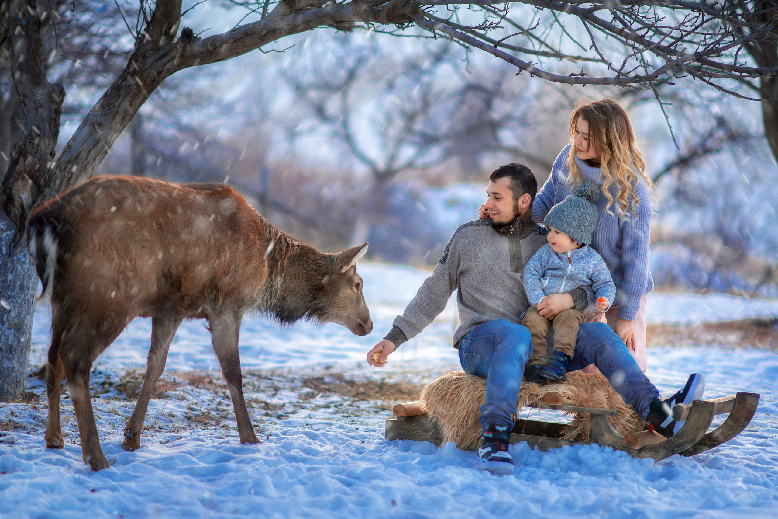 ИНДИВИДУАЛЬНЫЕ ФОТОСЕССИИ семейные /парные/беременность (нг). Творческая команда Ульяшевы, свадебная и семейная фотография. Кахахста