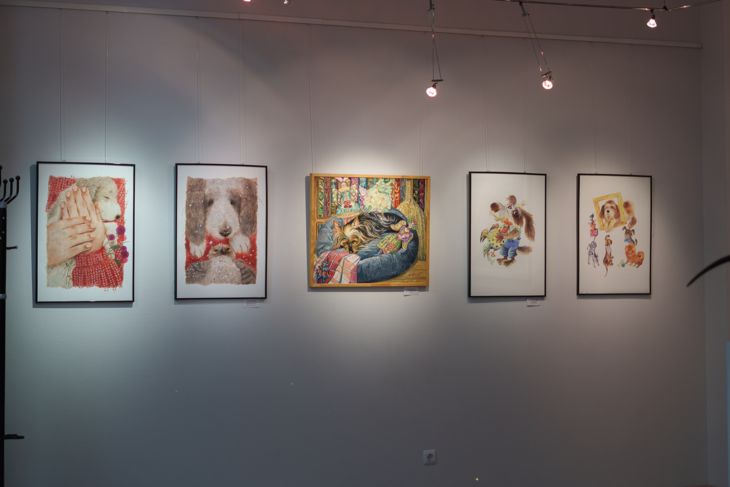 Открытие 11 фестиваля анималистики «Зооарт». Фотограф в Санкт-Петербурге Ибрагимова Алина