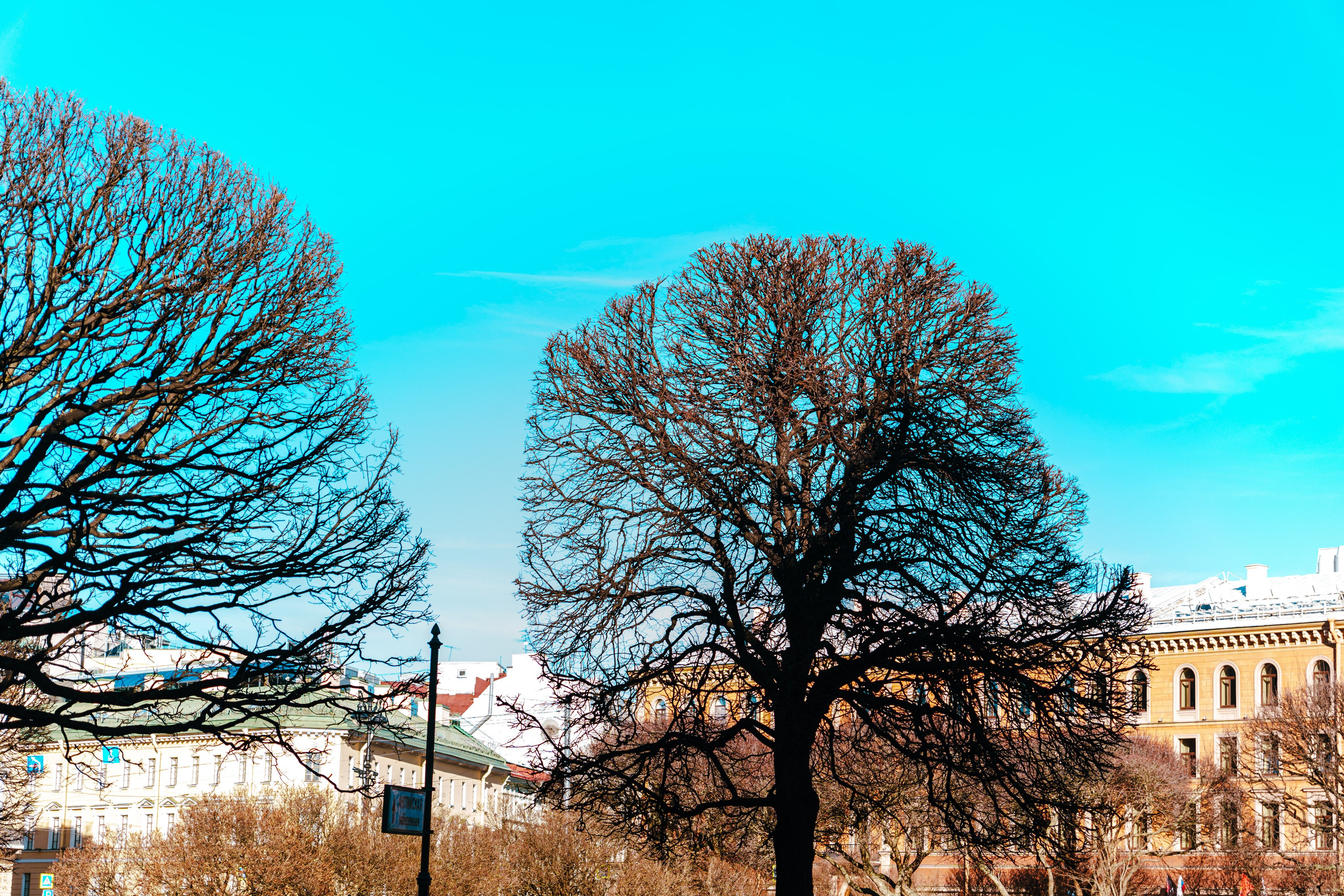 Санкт-Петербург. Фотограф в Санкт-Петербурге Ибрагимова Алина