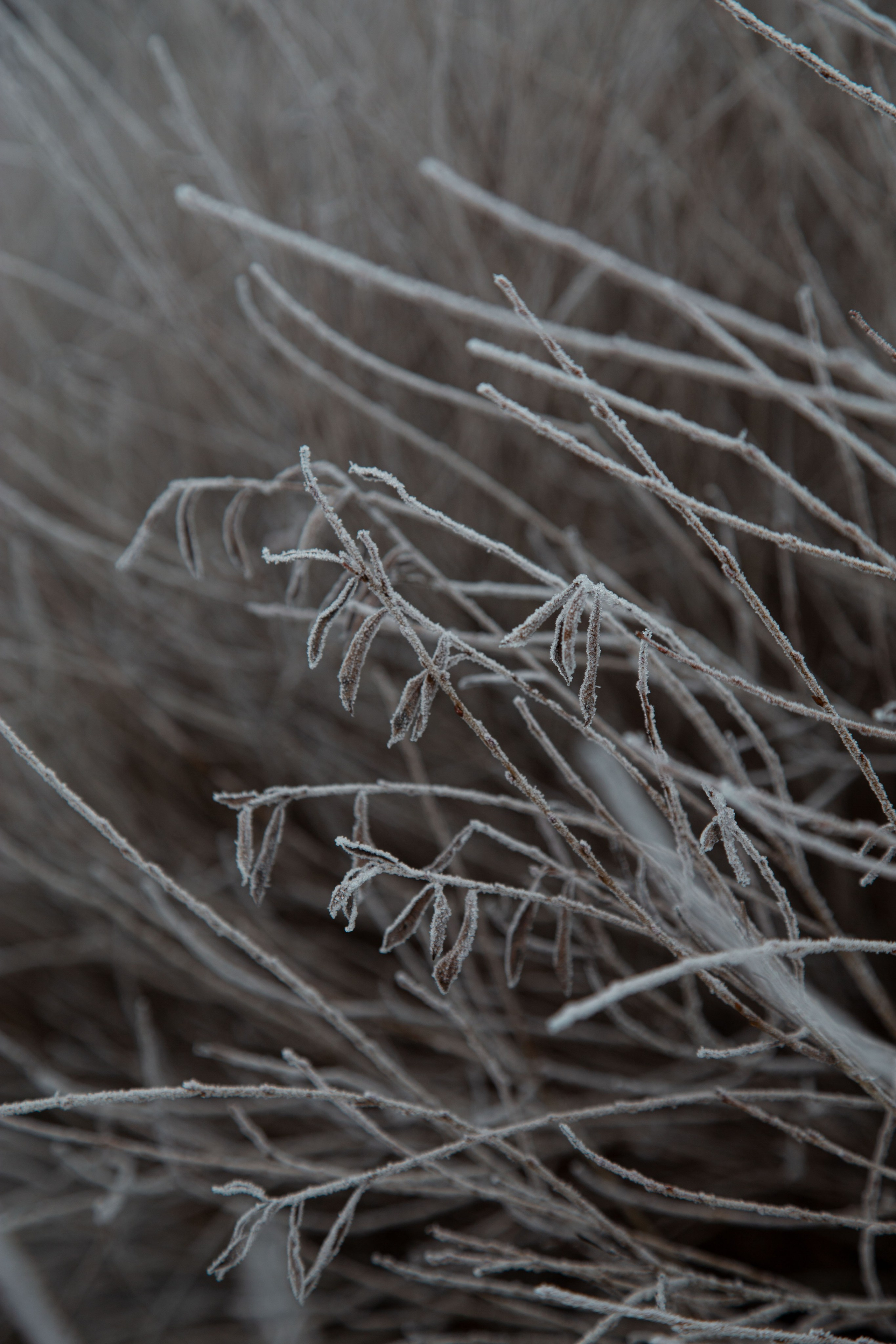 Воздух февраля. Dmitriy [KCCC] is a pretty cool photographer