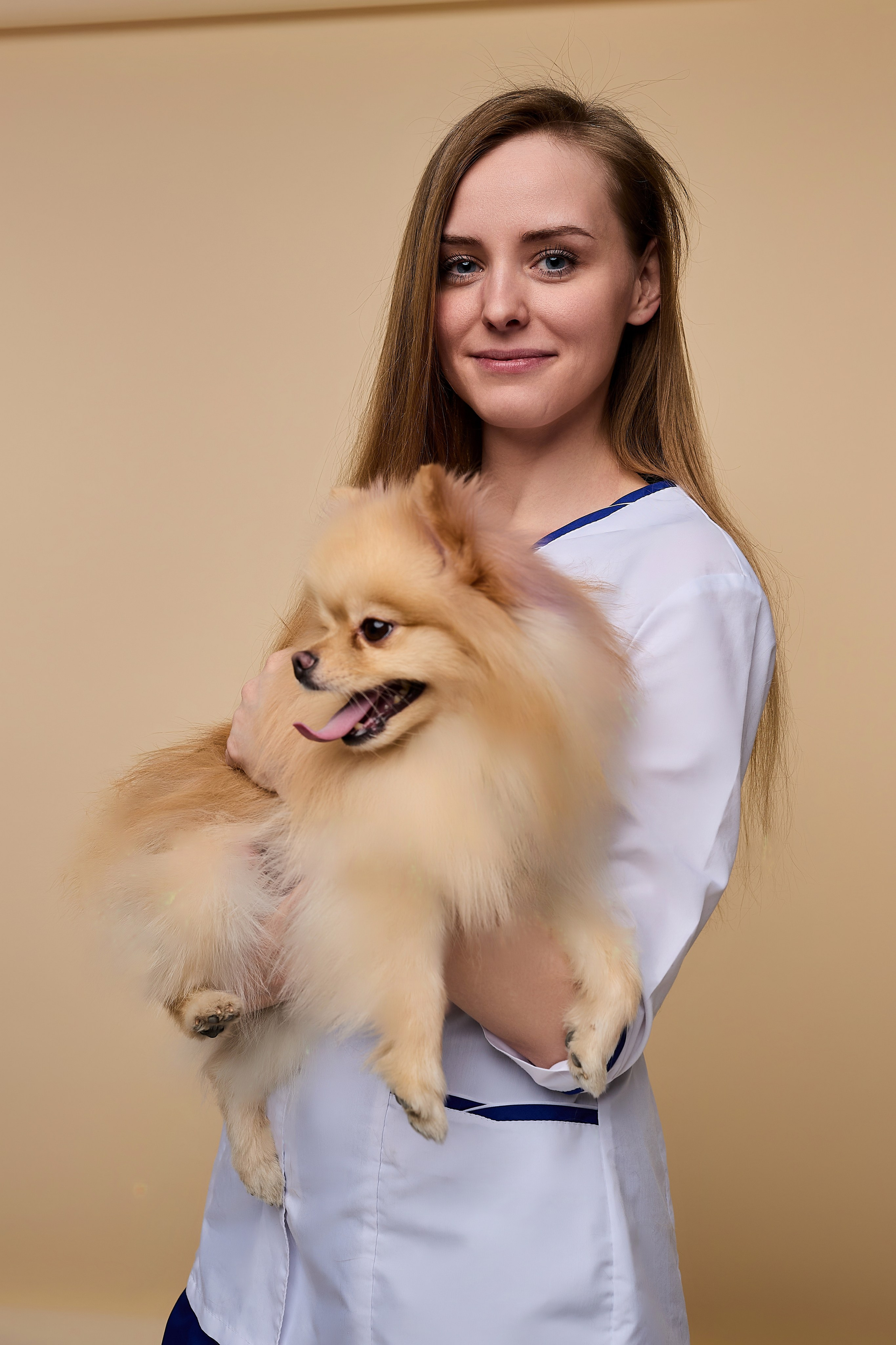 Контент для ветеринарного лендинга правительства Москвы. Фотограф и Видеограф в Москве. Олег Корушев