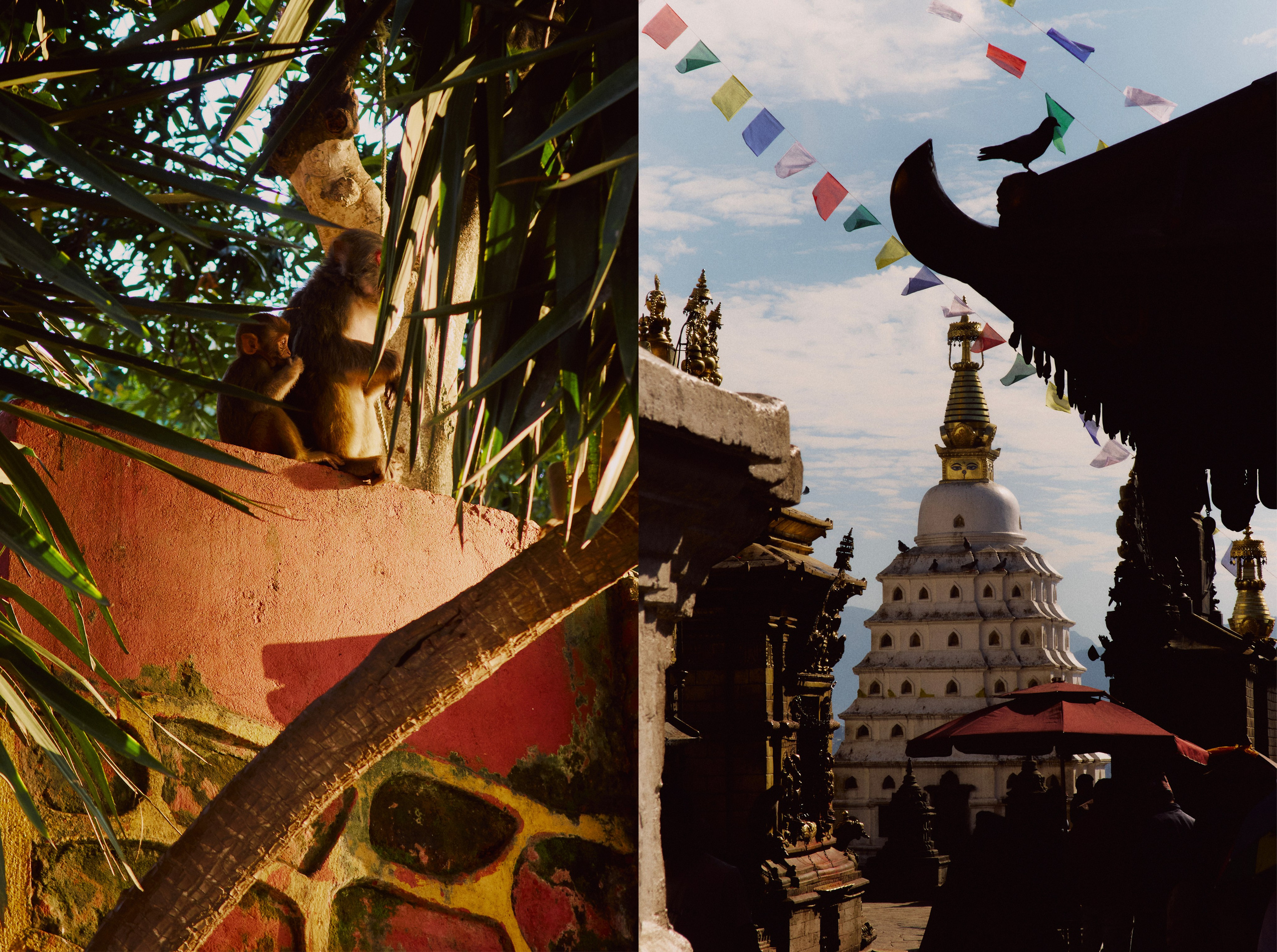 TRAVEL. EVGENYA PERESADOVA