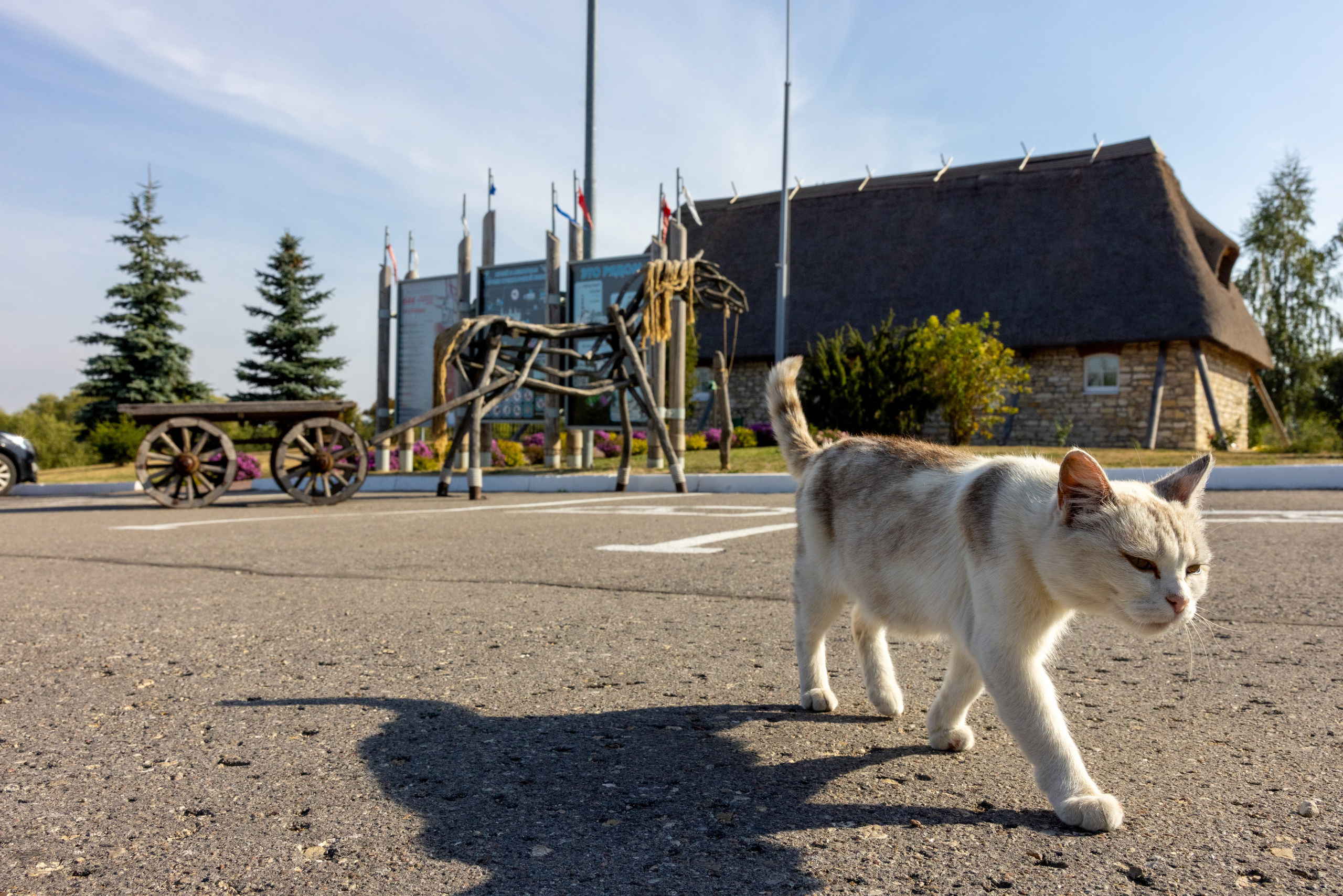 Поездка на поле Кулеково. Фотограф в Туле Крупский АнДРей. Фотостудия «КАДР71» в Туле