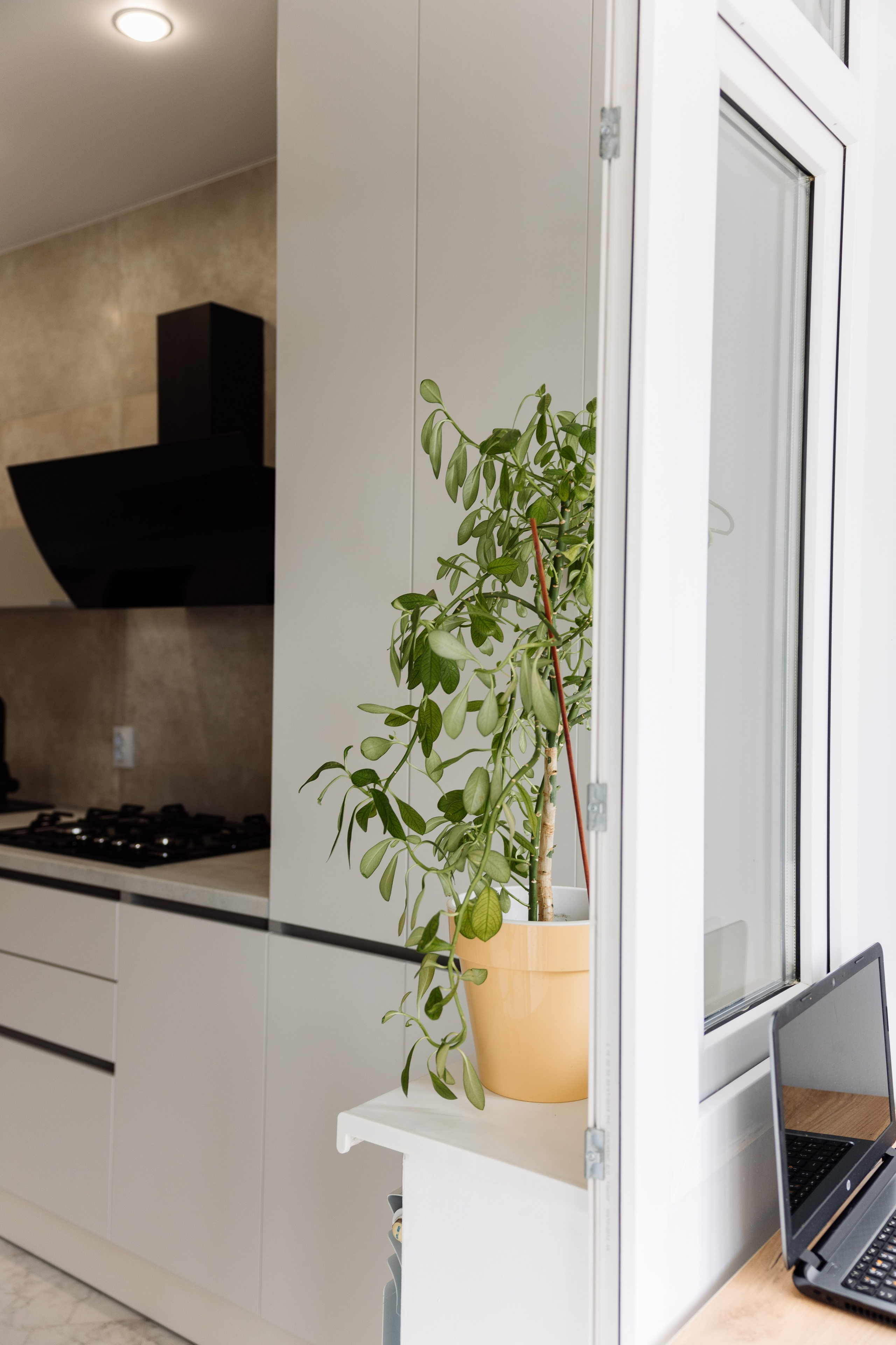 Недвижимость. Майорова Валерия Фотограф Ставрополь