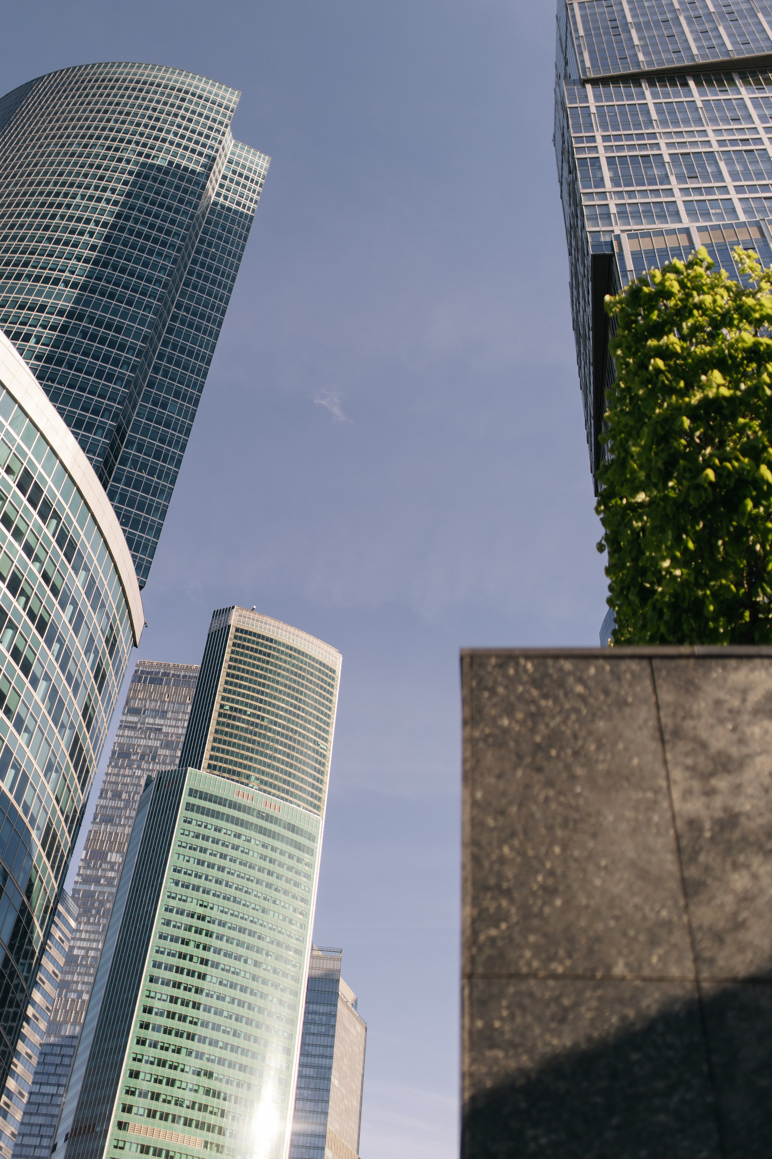 Александр & Алена