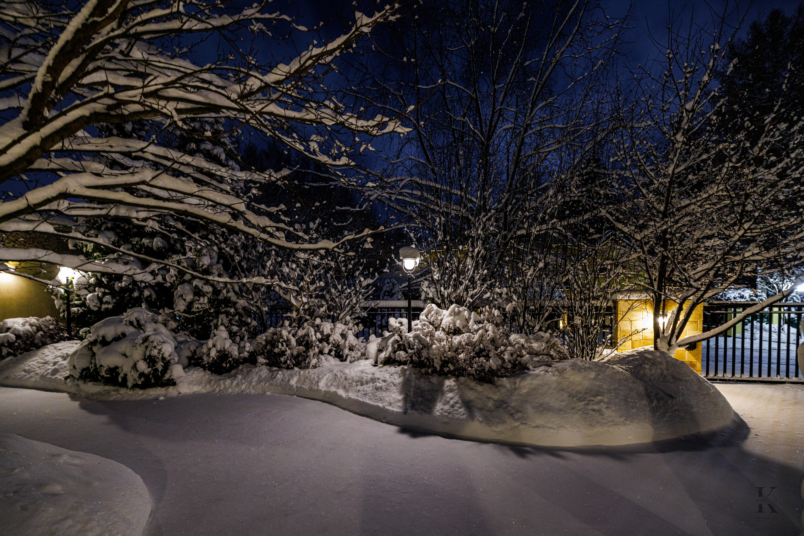 Природа 31 Декабря 2025 года. Клены. Фотографирую жизнь! Московский фотограф волонтер