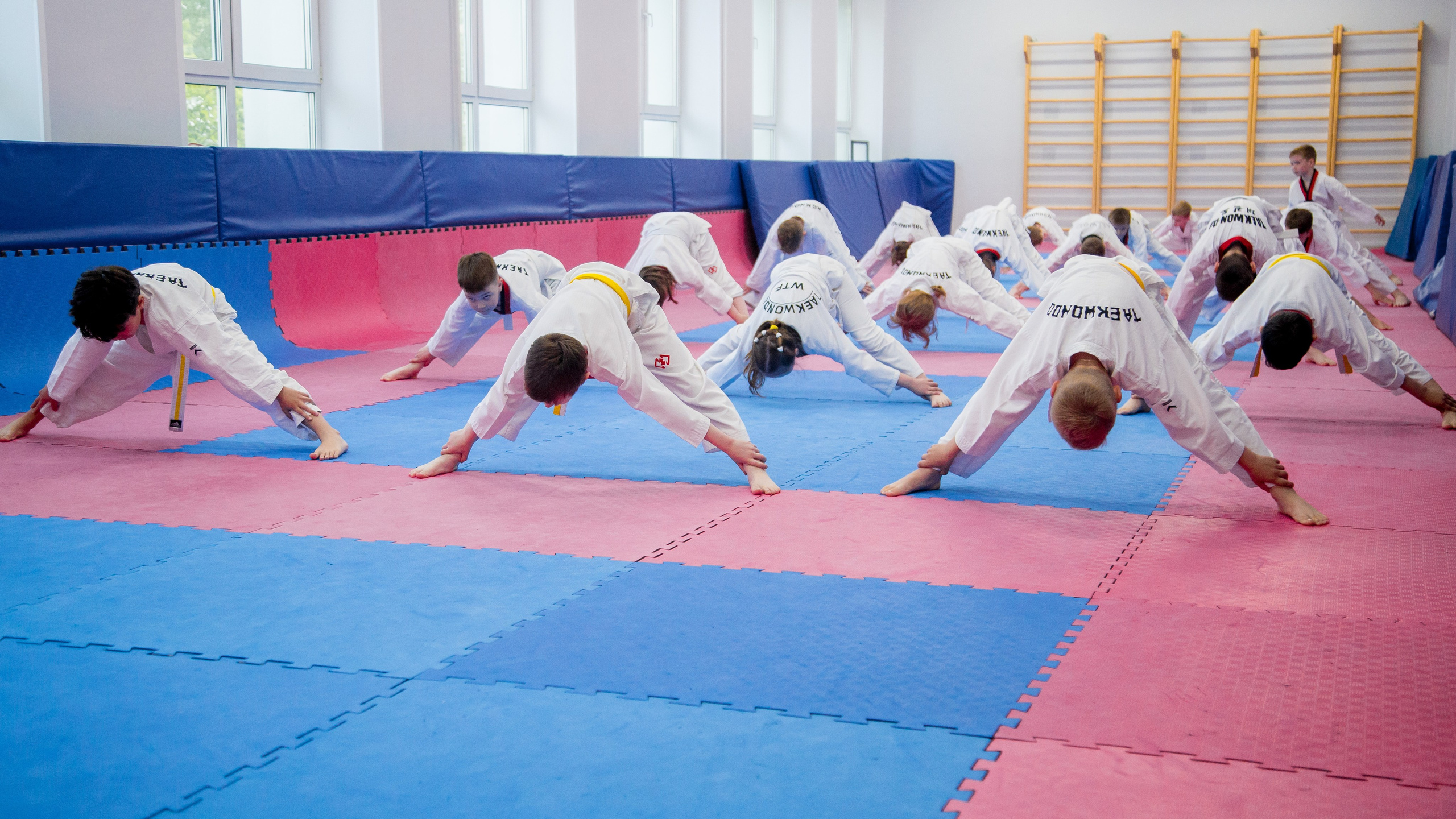 Желтый пояс по тхеквандо. Репортажный фотограф Борис Геер