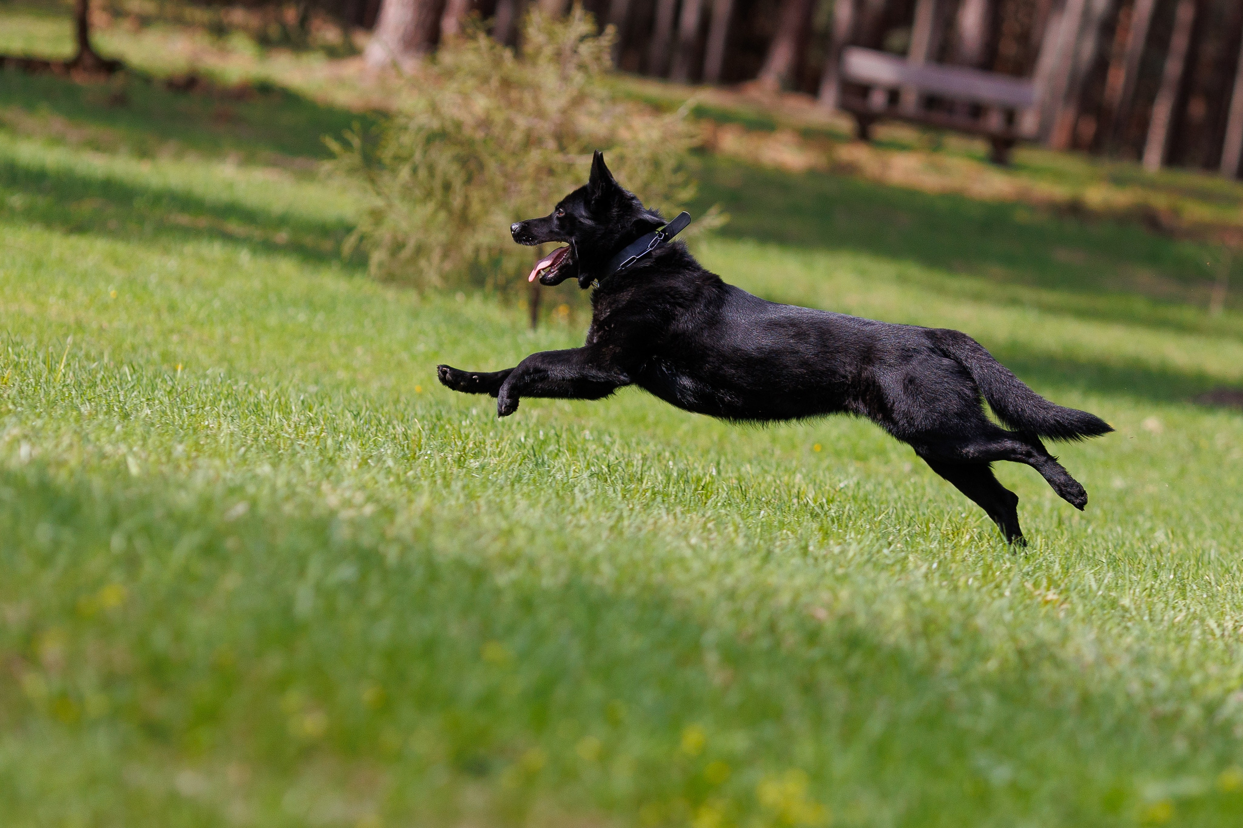 Репортажный фотограф Борис Геер