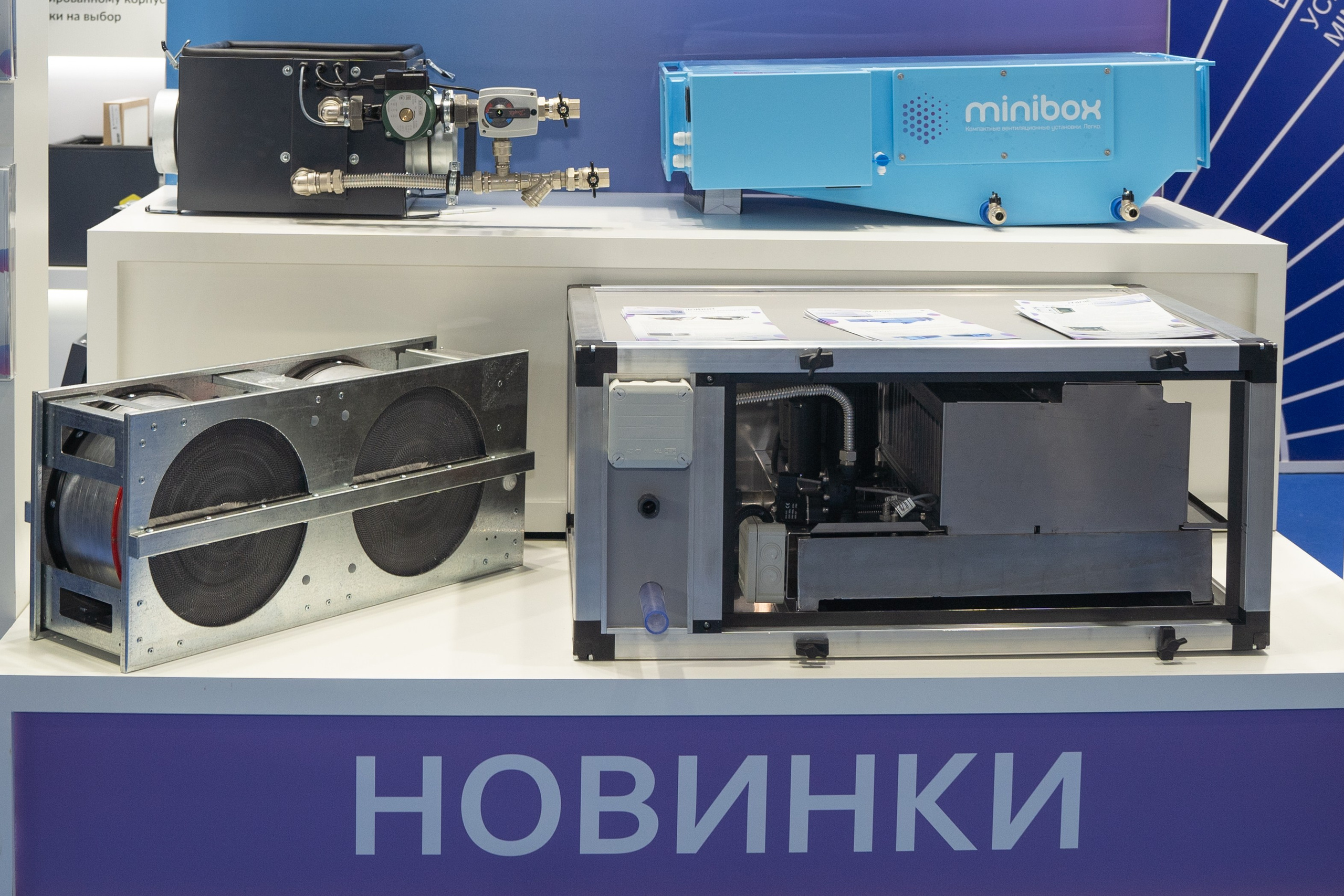 Крокус Вентиляция. Фотограф Зинаида Евдокимова