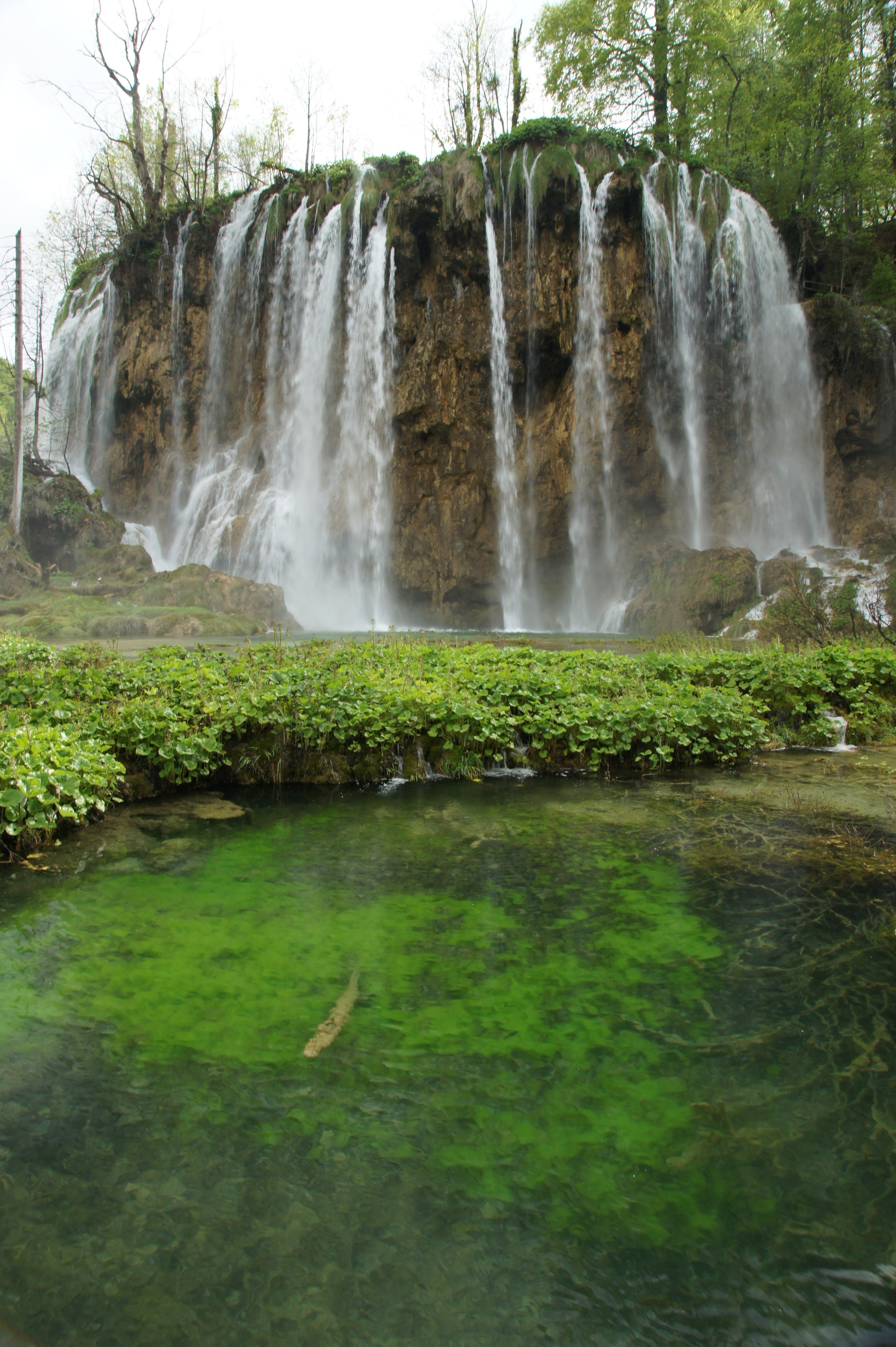 Хорватия. Главная