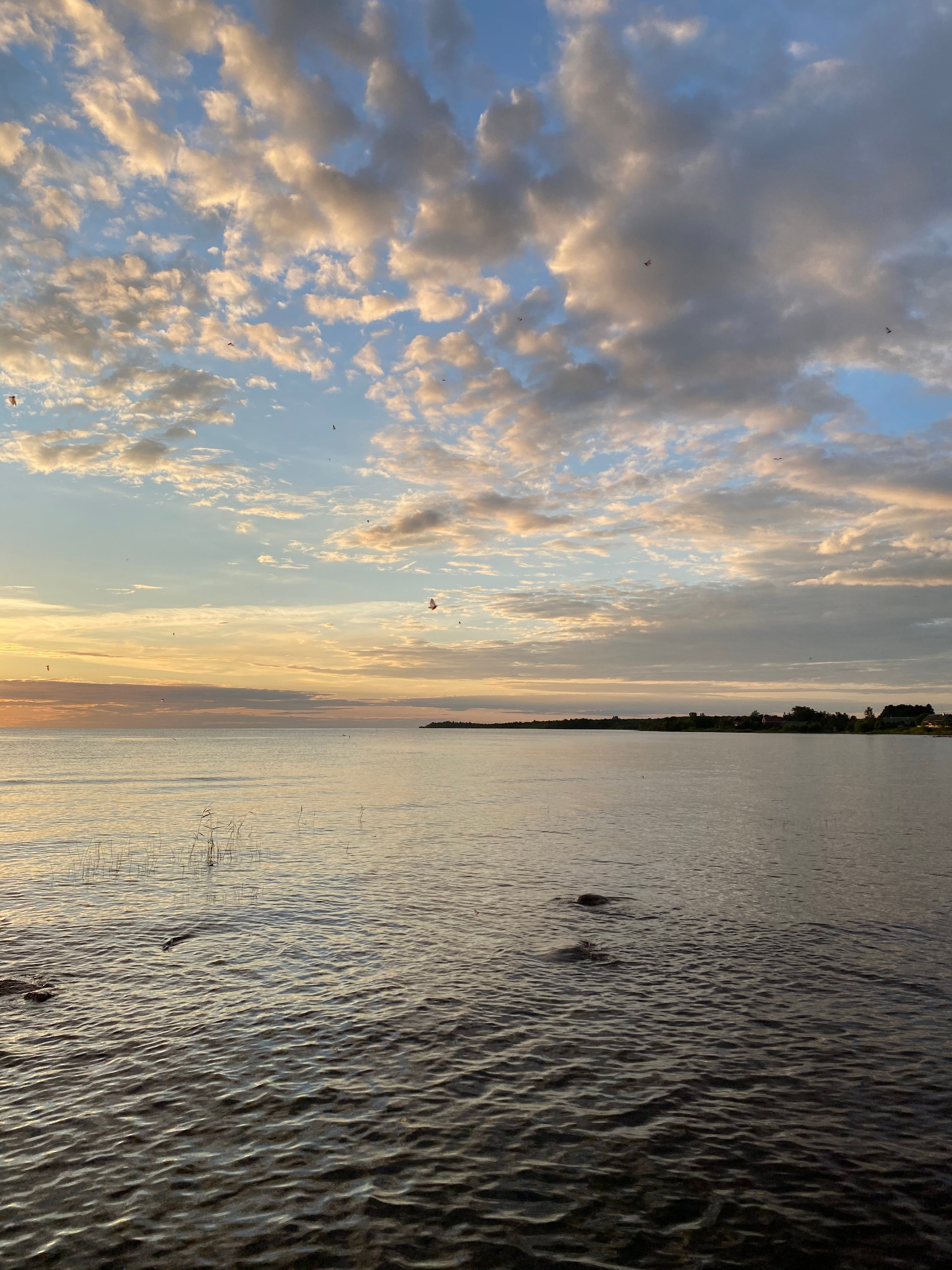 Териберка — 20. Своя Мастерская