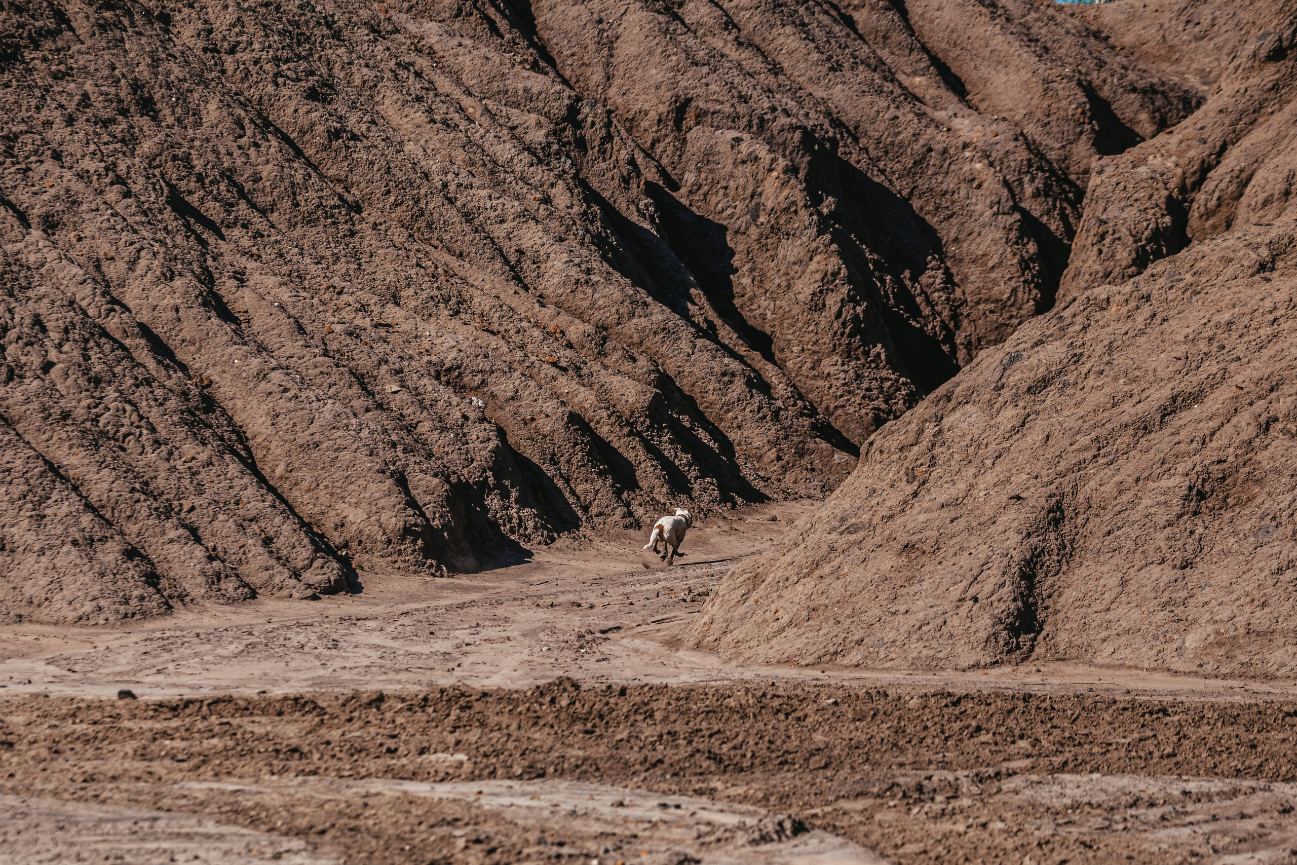 Кондуки. Фотограф-анималист Татьяна Степанова