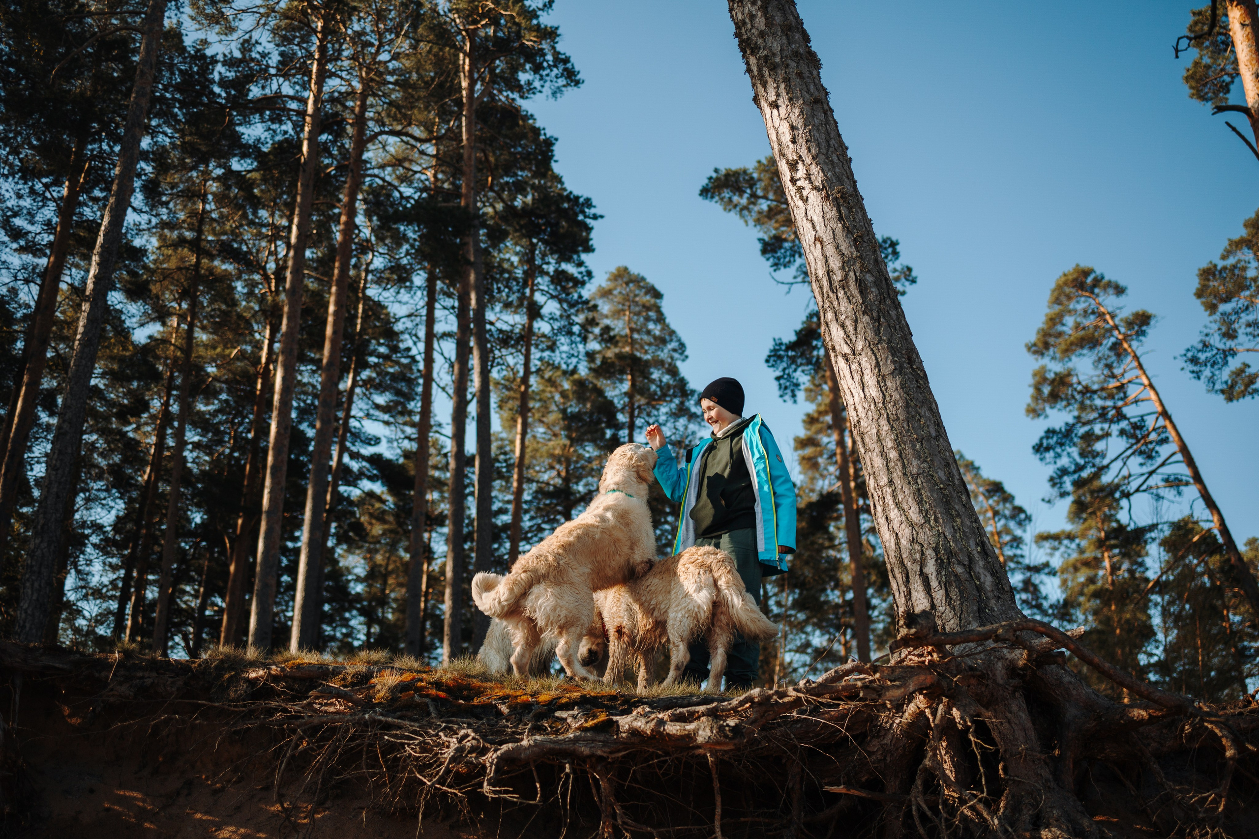 Катя и ее девочки. Фотограф — Анималист | Санкт-Петербург