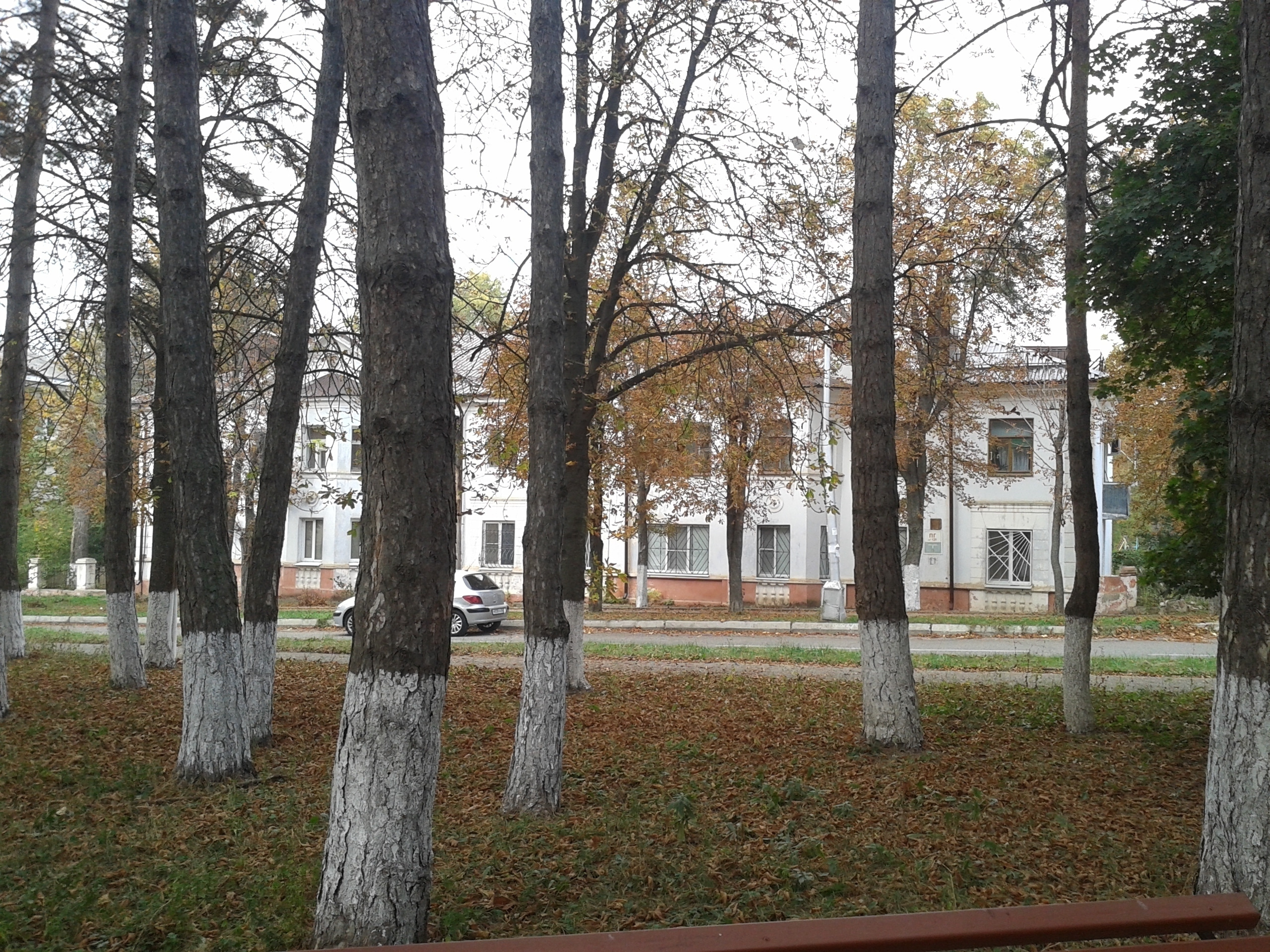 Улица Решетника.