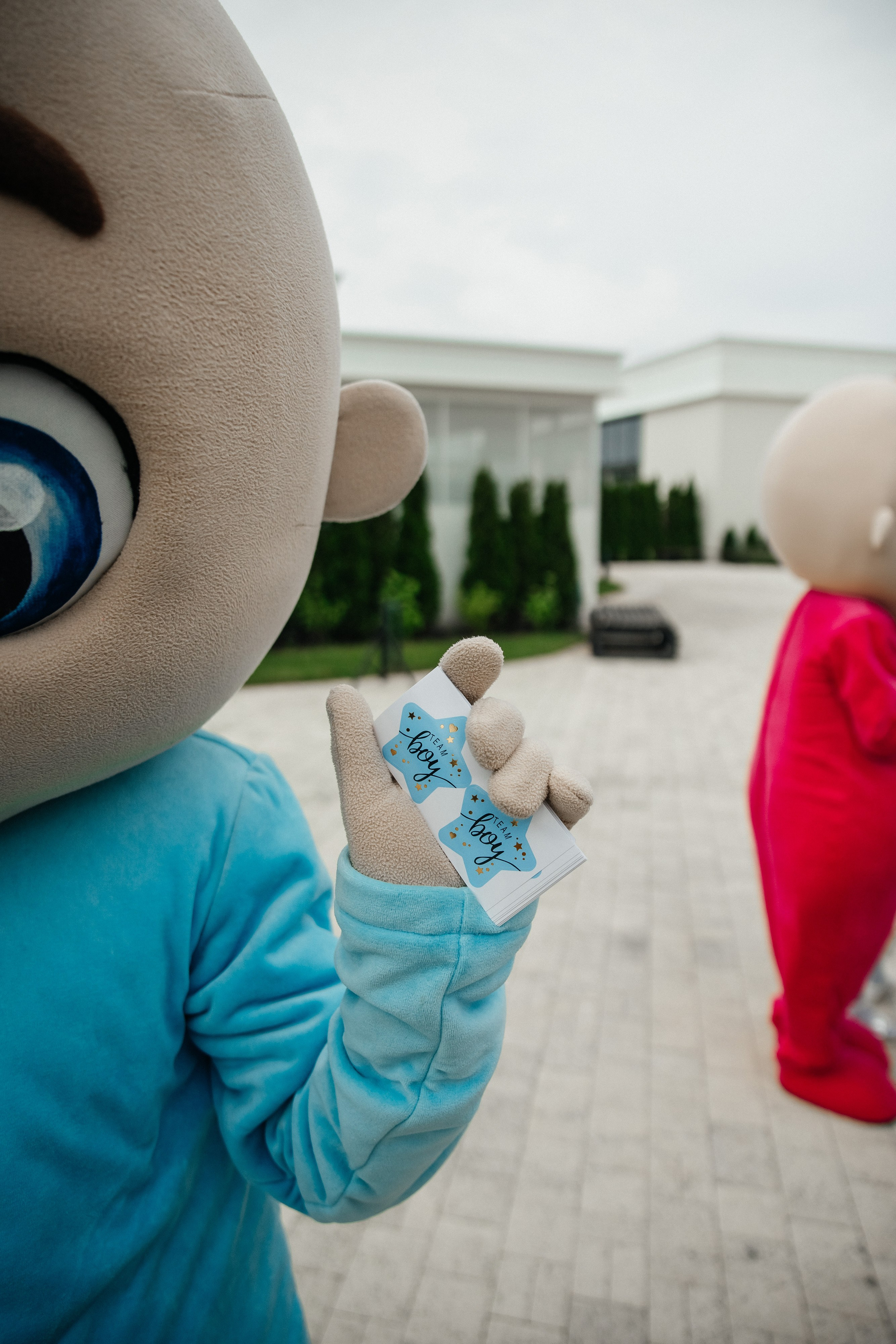 Гендер пати. Свадебный и семейный фотограф в Краснодар, Россия