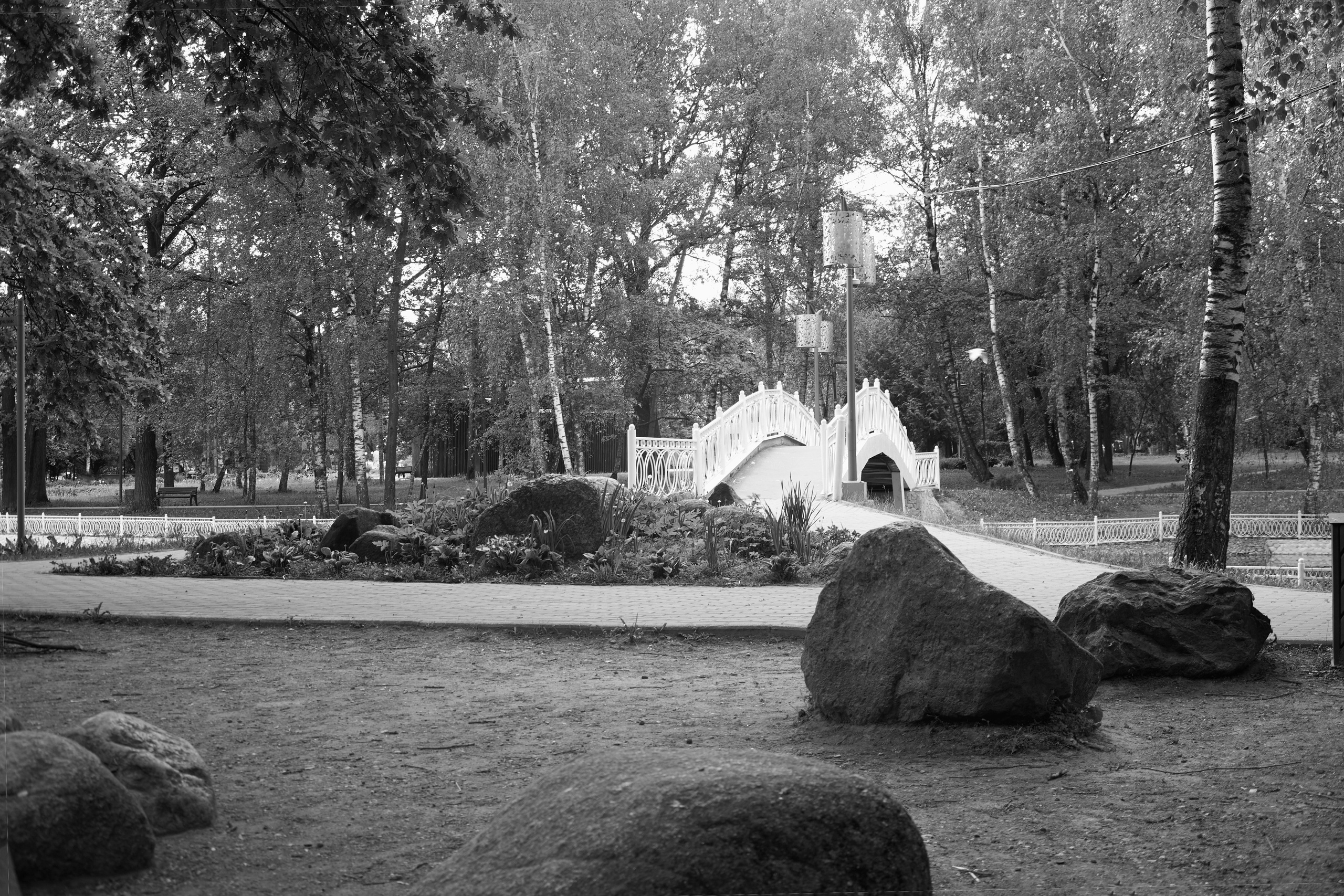 Пикториализм в природе. Сайт фотографа Виталия Дени