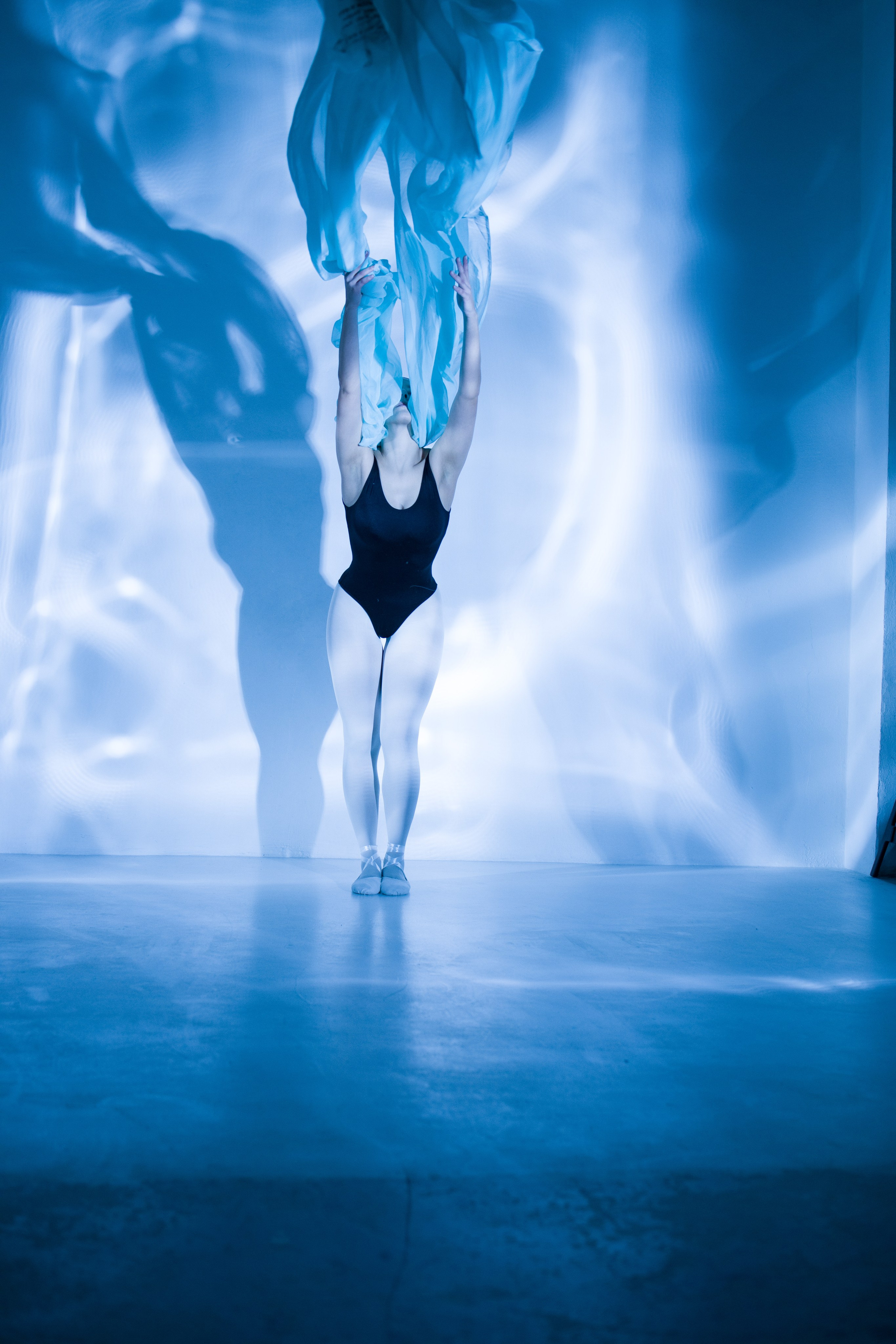 Лилия. Художественная фотография