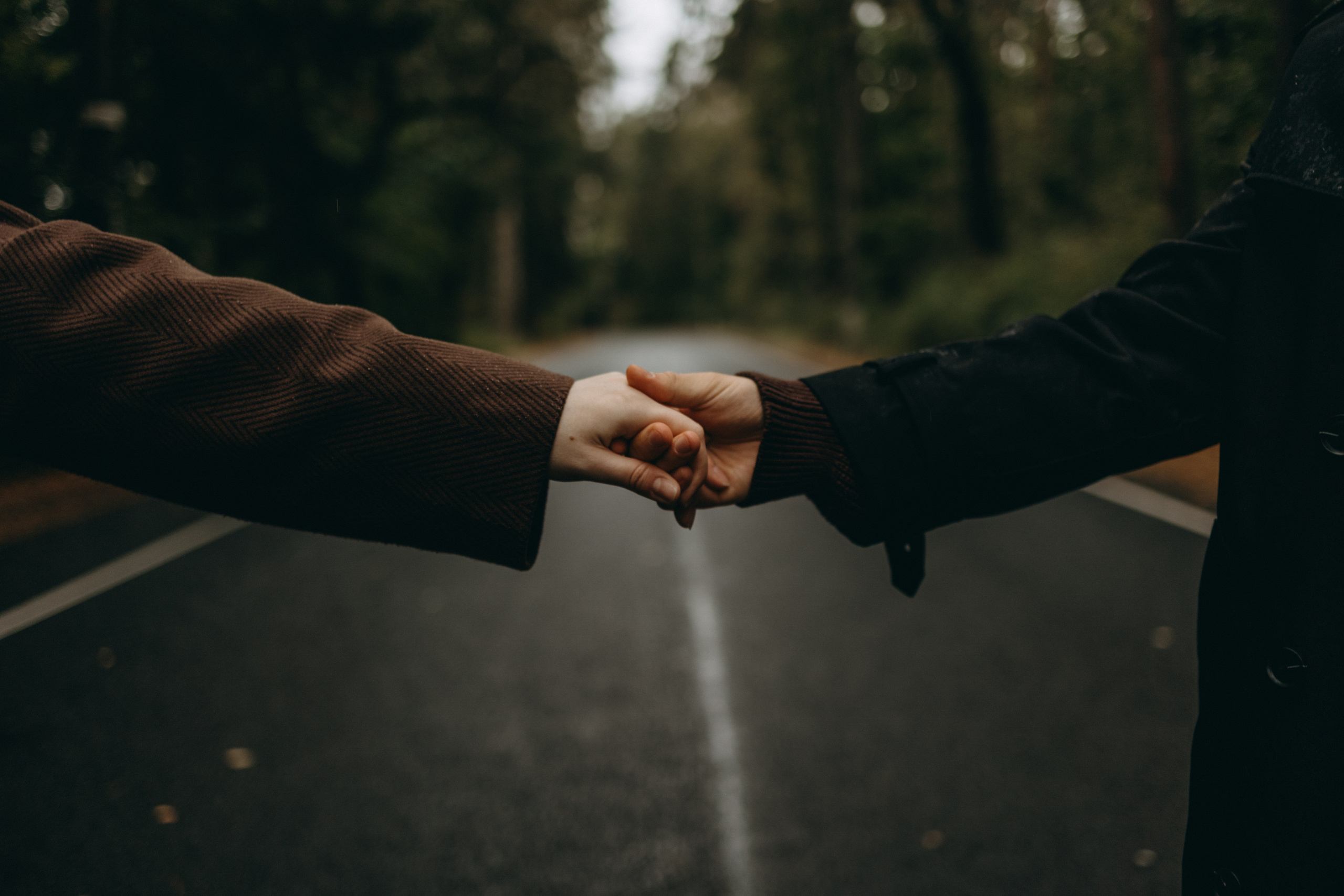 Жу и ее семья. Фотограф — Анималист | Санкт-Петербург