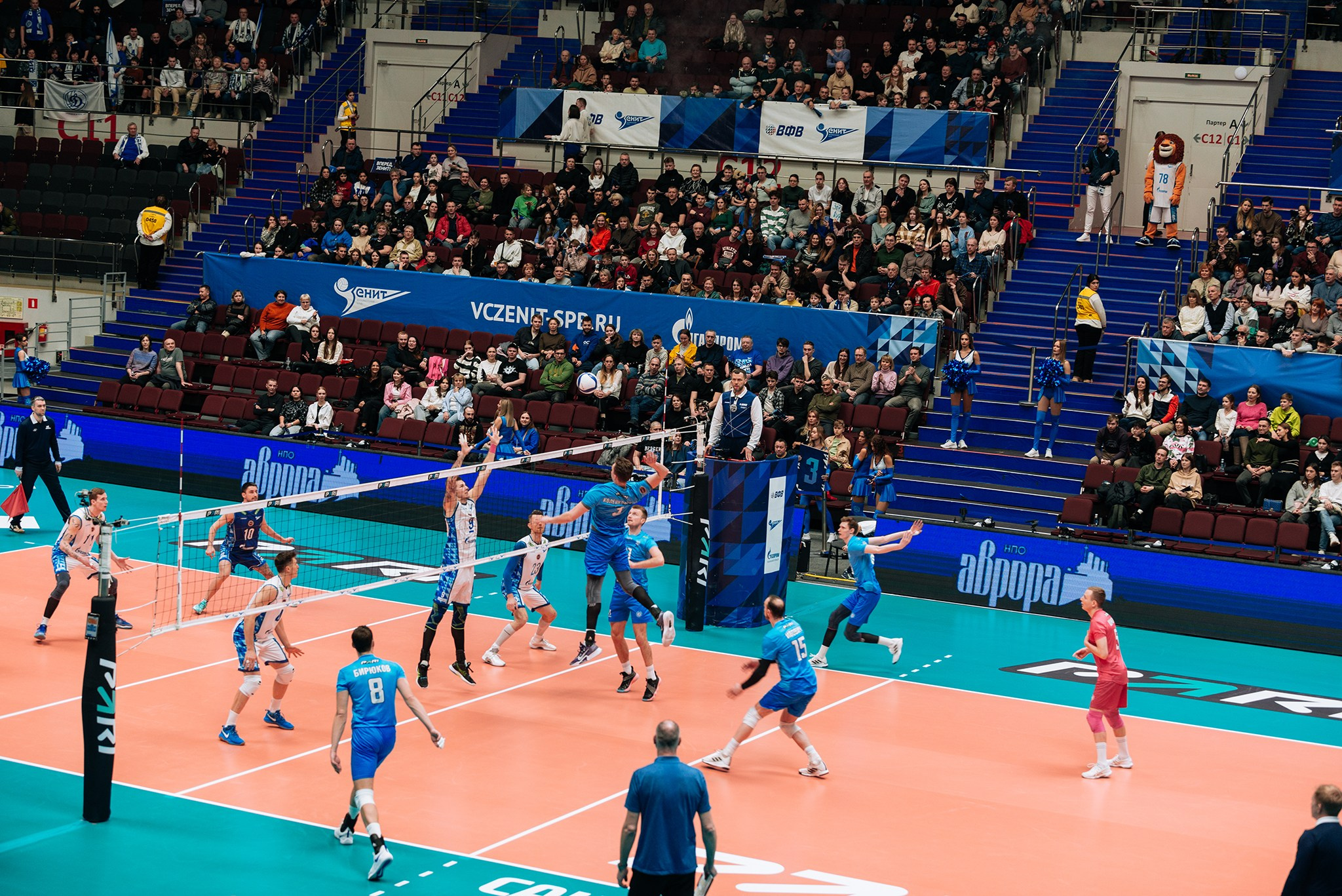 Зенит — Динамо-ЛО. Чемпионат России по волейболу. Февраль 24. Репортажный фотограф в Санкт-Петербурге Анастасия Клёпова