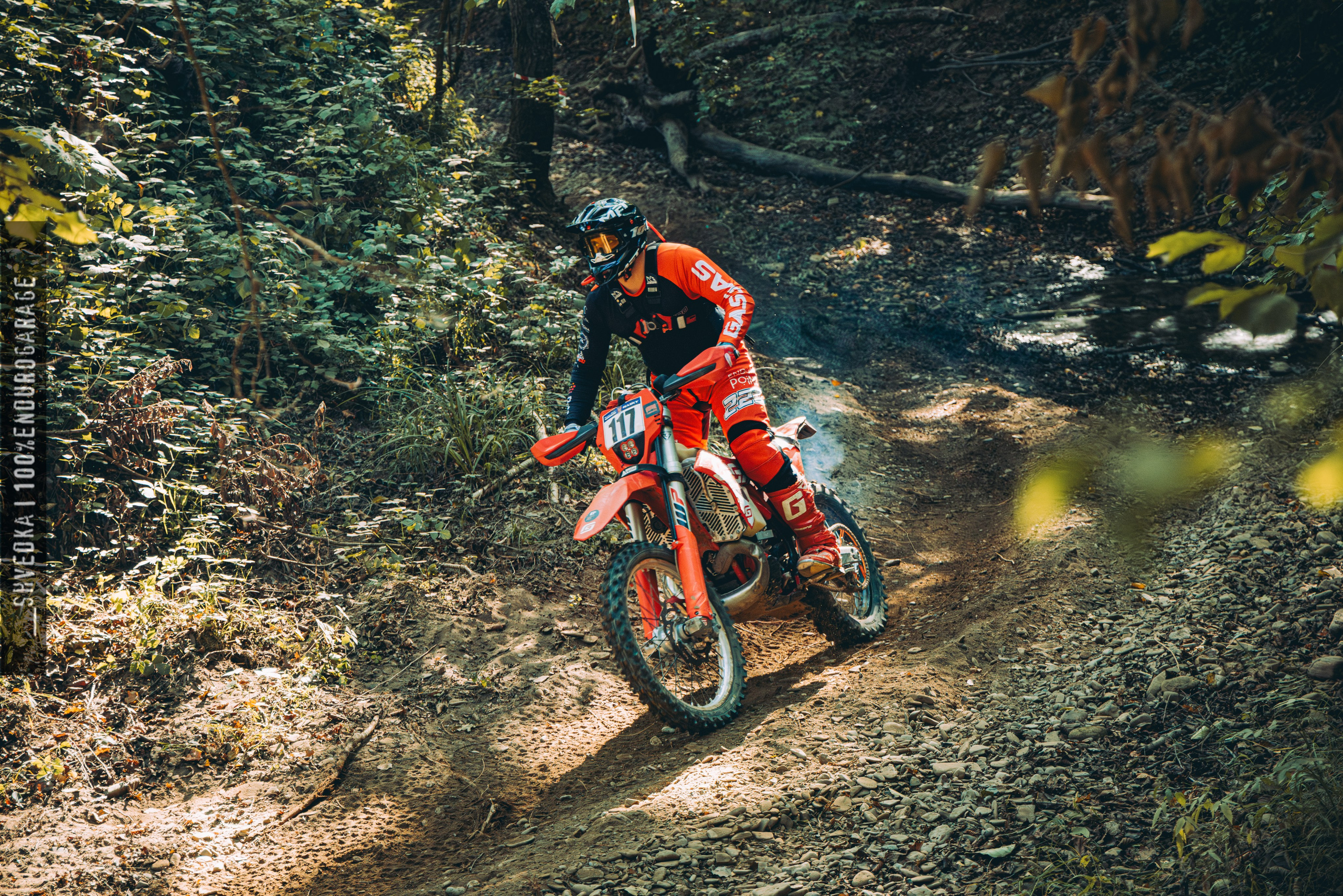 2 лесной день. Ваш экстрим фотограф Кудрева Яна