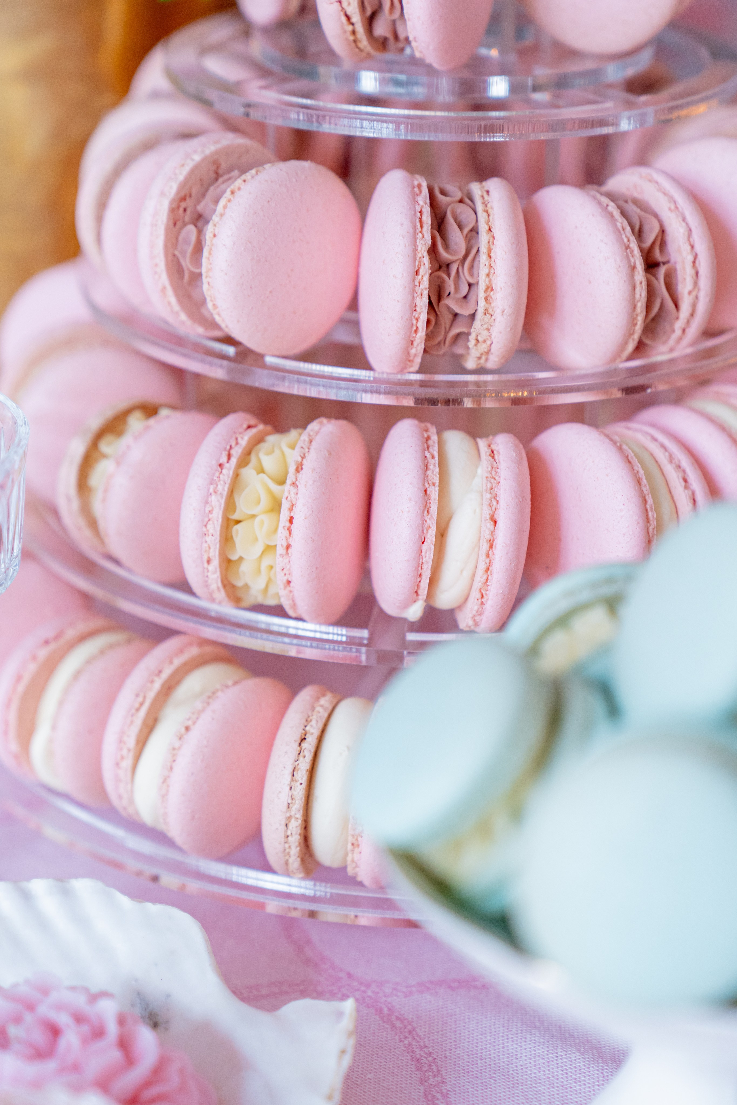 MARIA ANTOINETTE | 21.02.2024 | г. Санкт-Перербург. МашаШарики | Декоратор | Москва