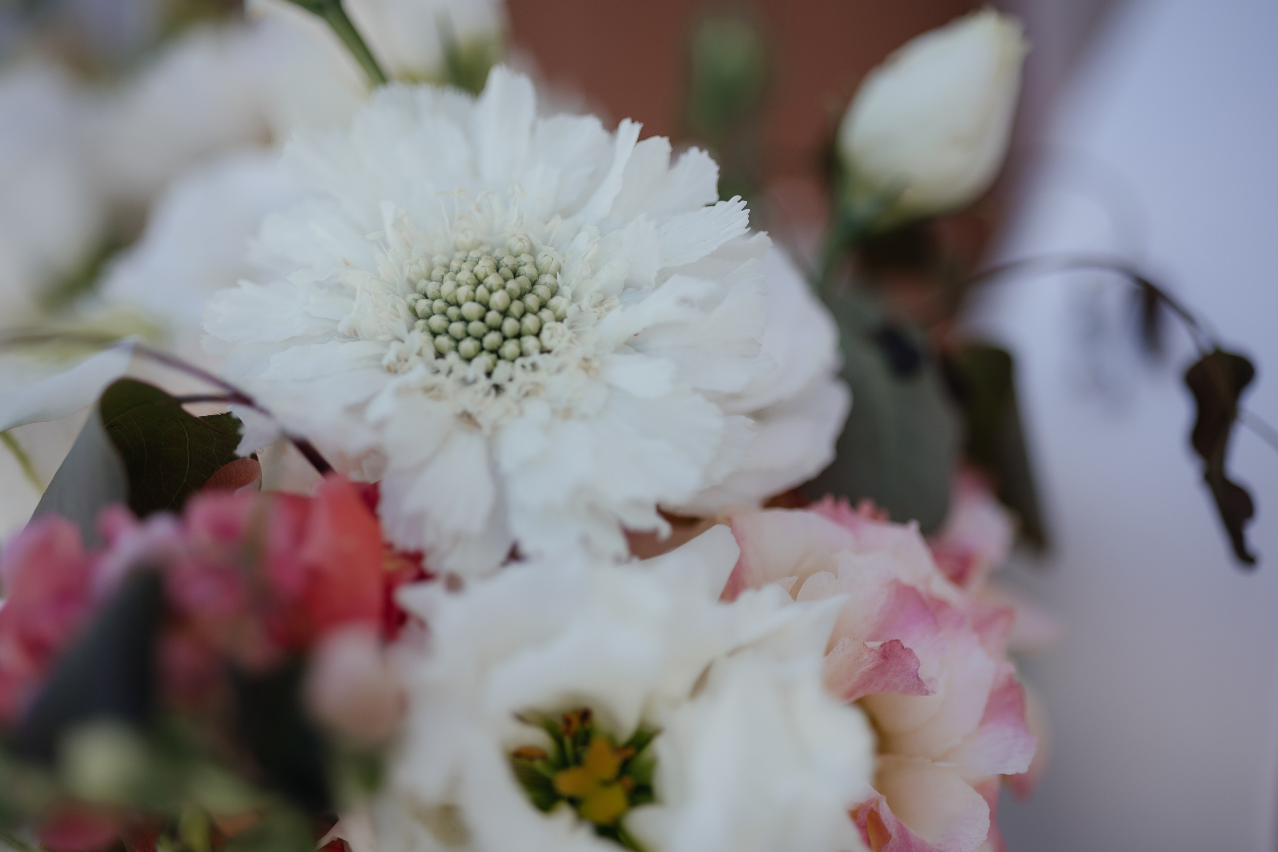 Николай и Алина. Фотограф Крохин Олег