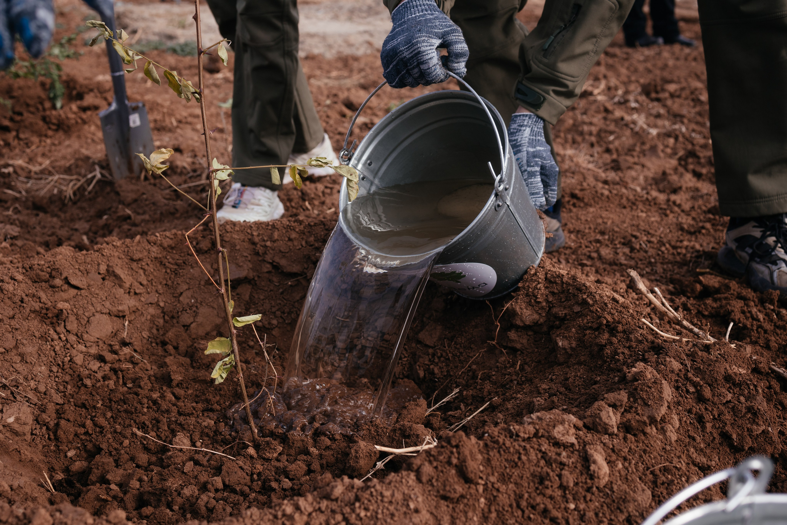 Сохраним лес. Фотограф Крохин Олег