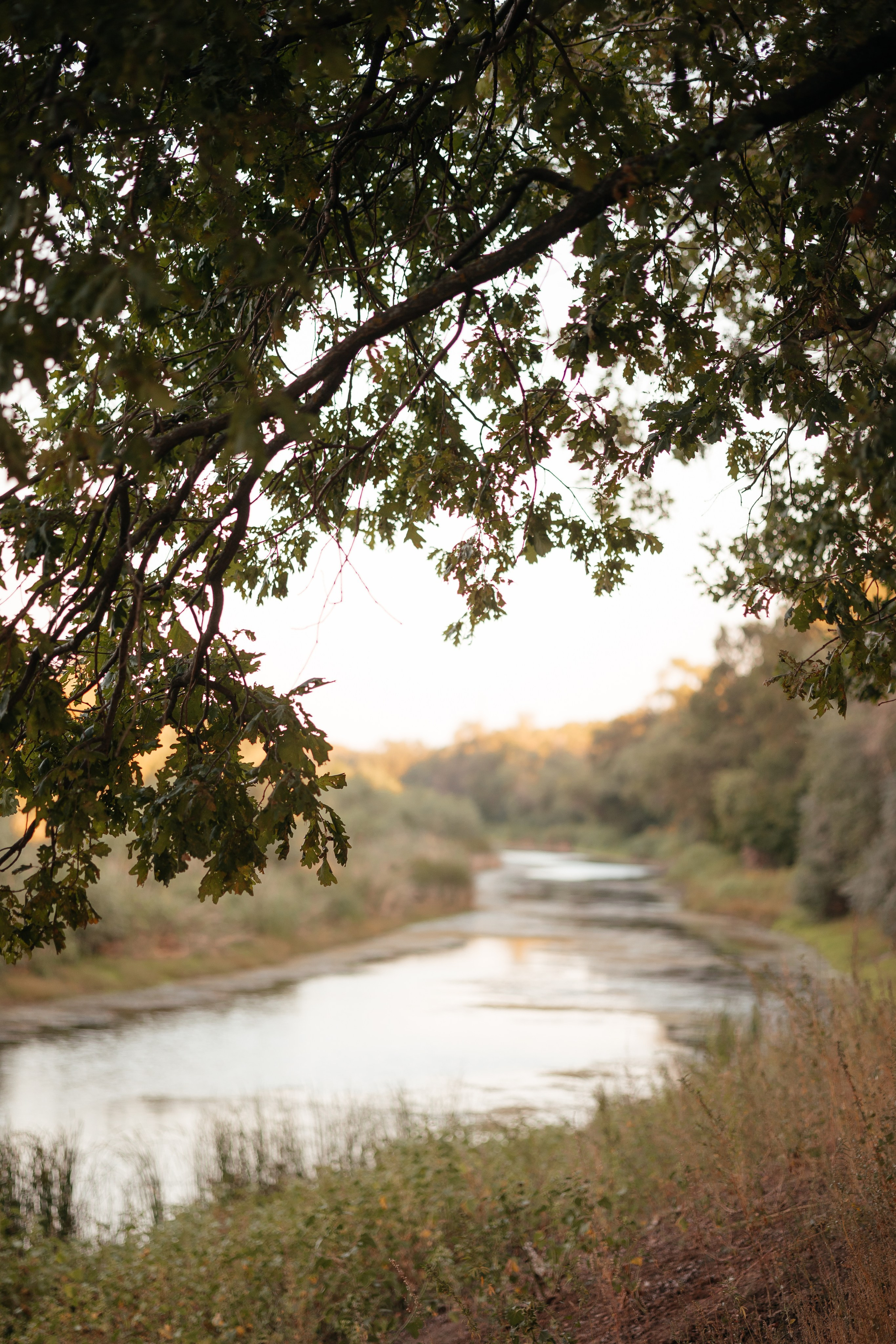 Прогулка в Дубовой роще. Фотограф Крохин Олег