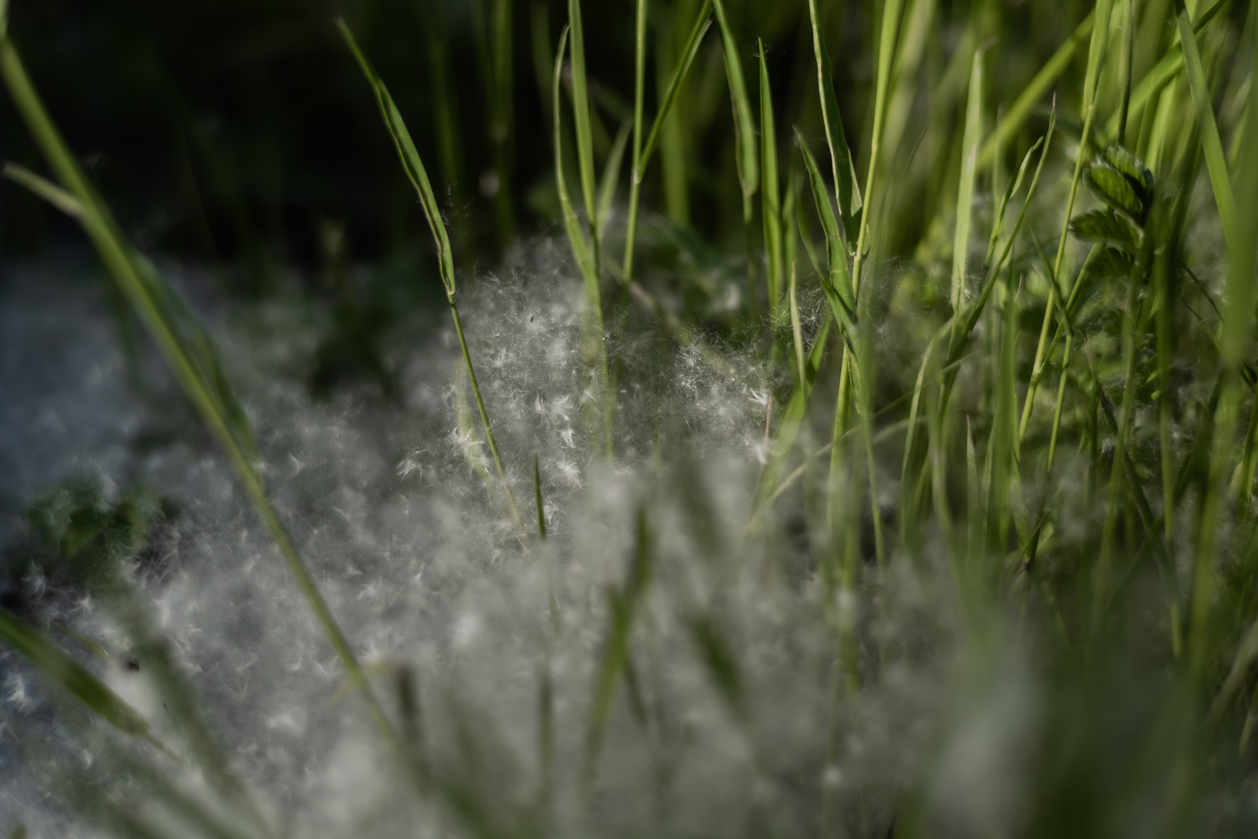 DINARA. Фотограф Элла Ефимова