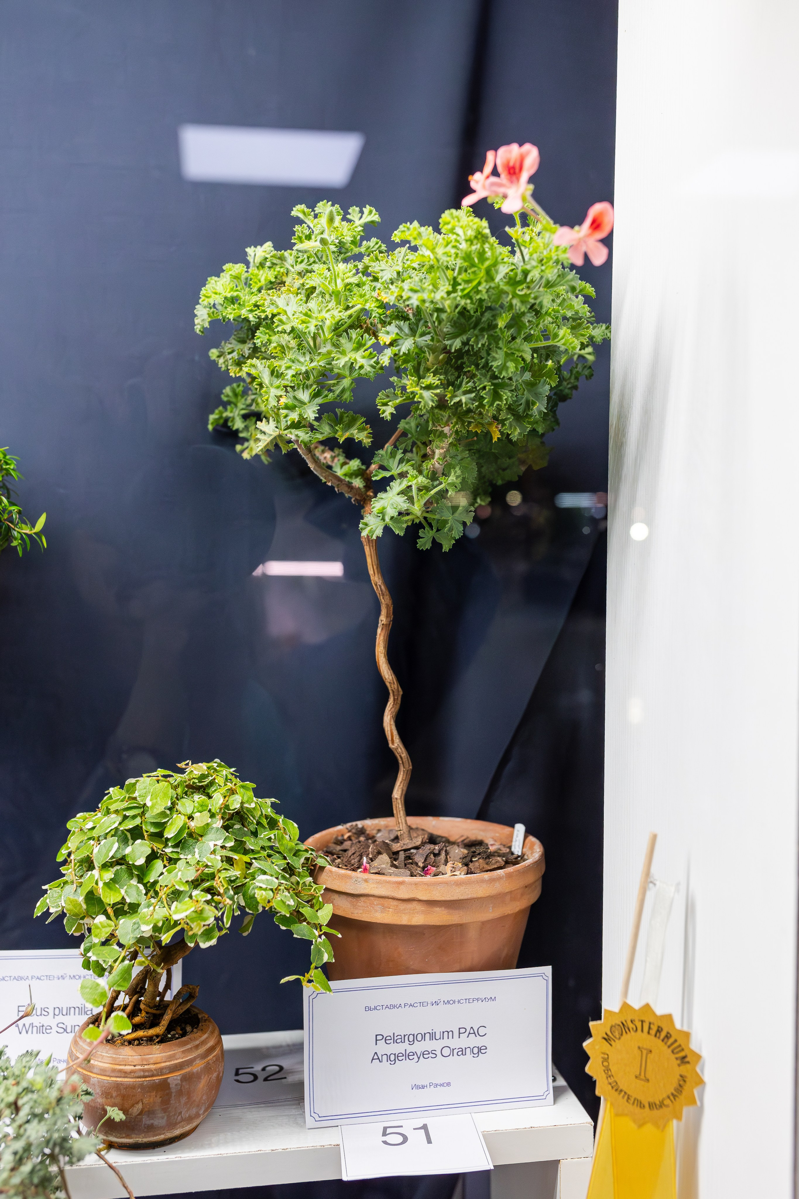 Монстериум апрель 2026. Александра Куликова фотограф, Москва