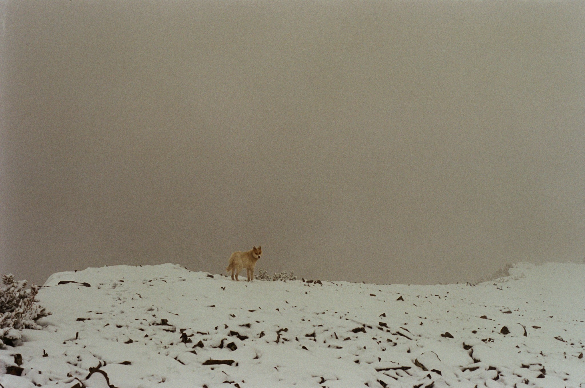 Не забудь накормить озеро. Natalya Madilyan