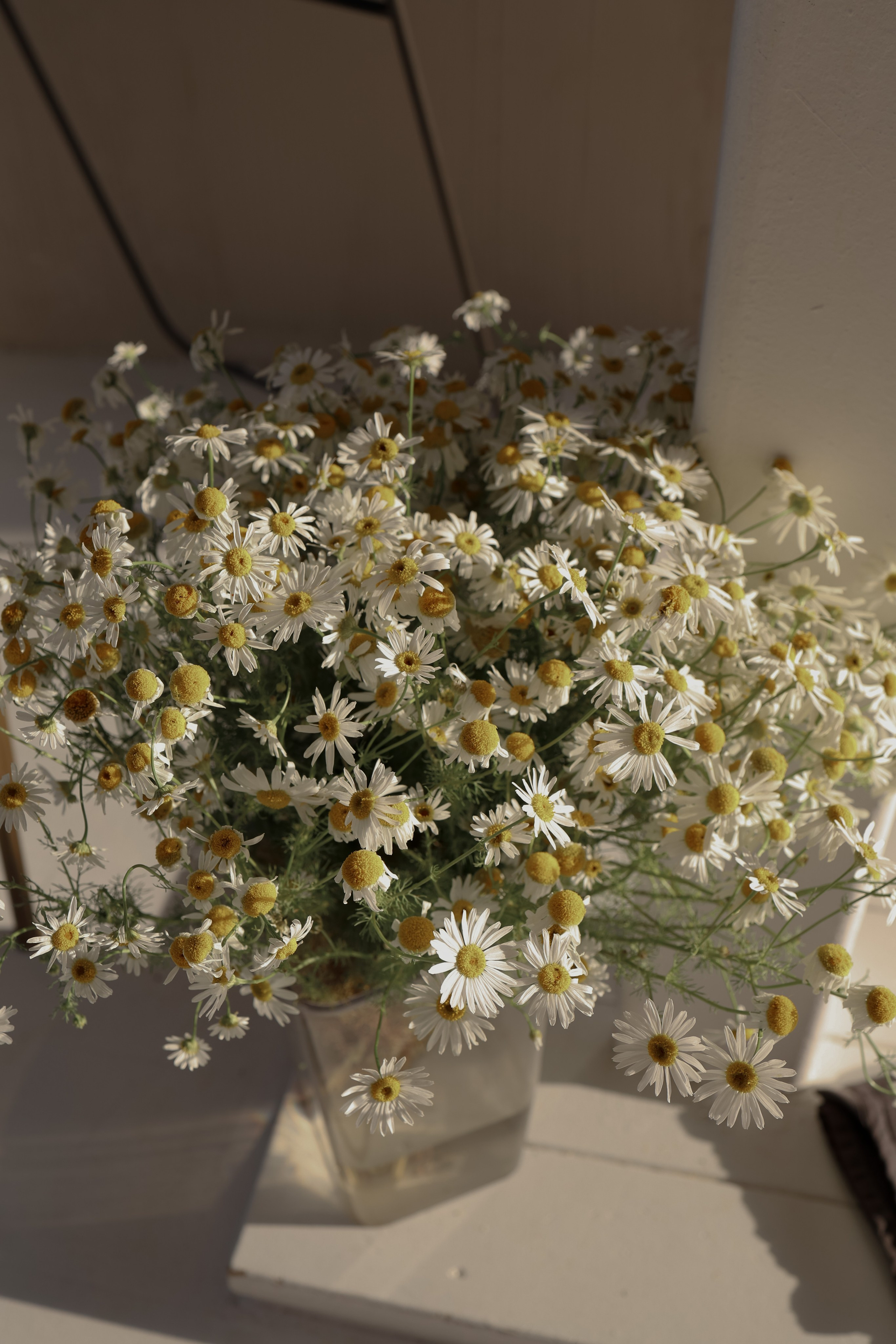 Салават и Амина. Iva_lia