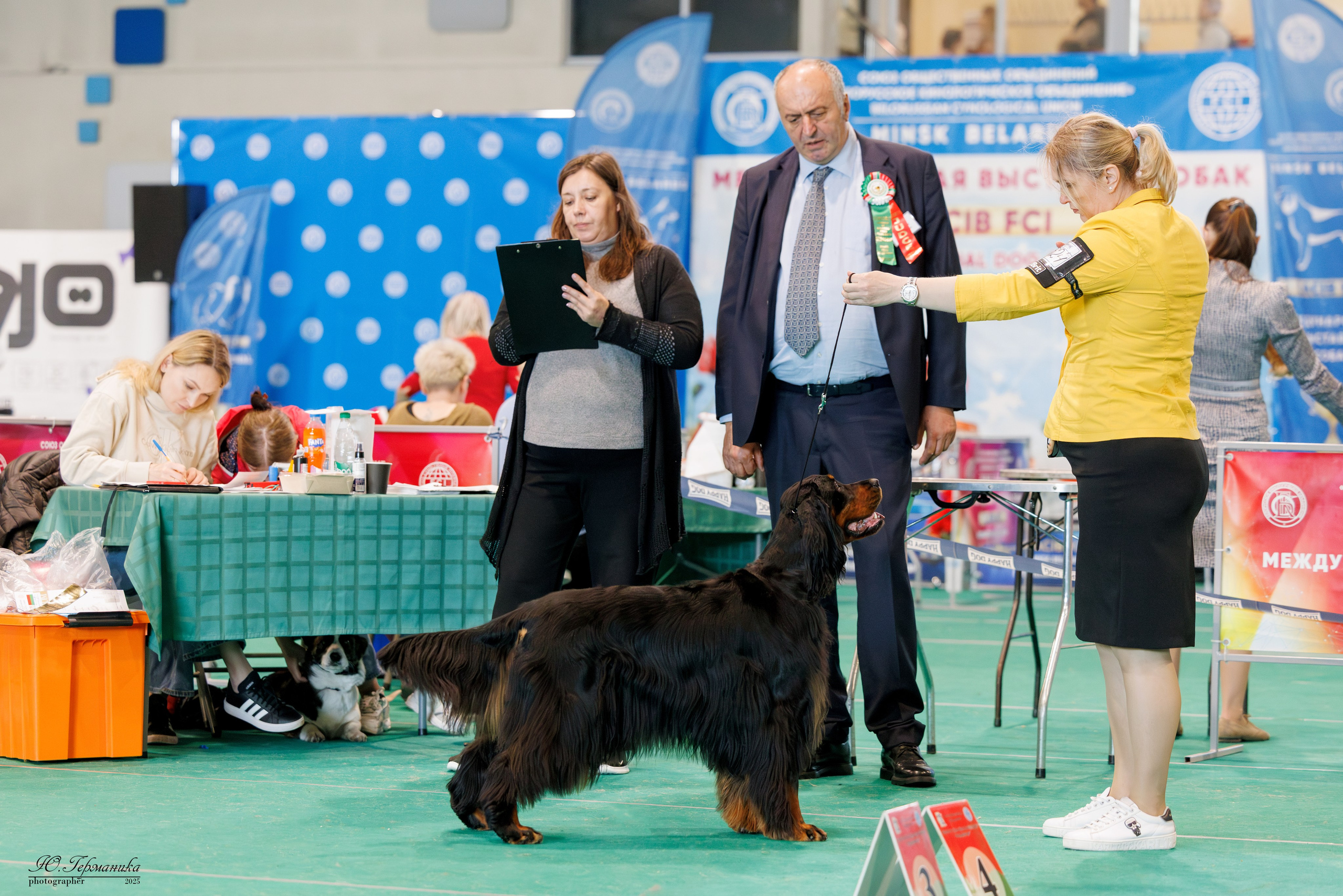 Минск 31.05-1.06.2025. Фотограф-анималист Юлия Германика