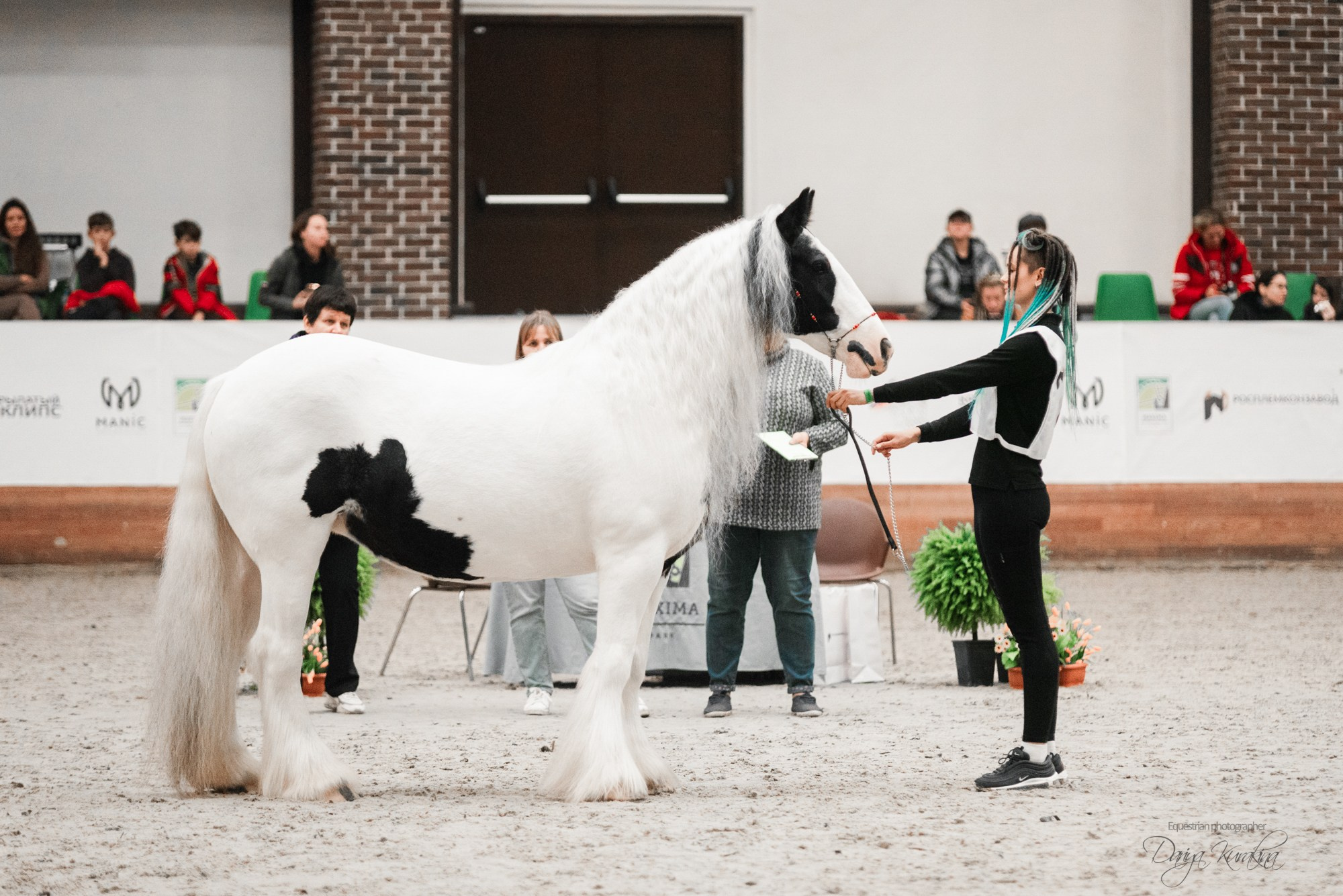 8-я международная выставка Конная Россия. Конный фотограф Куракина Дарья • Фотосессии с лошадьми
