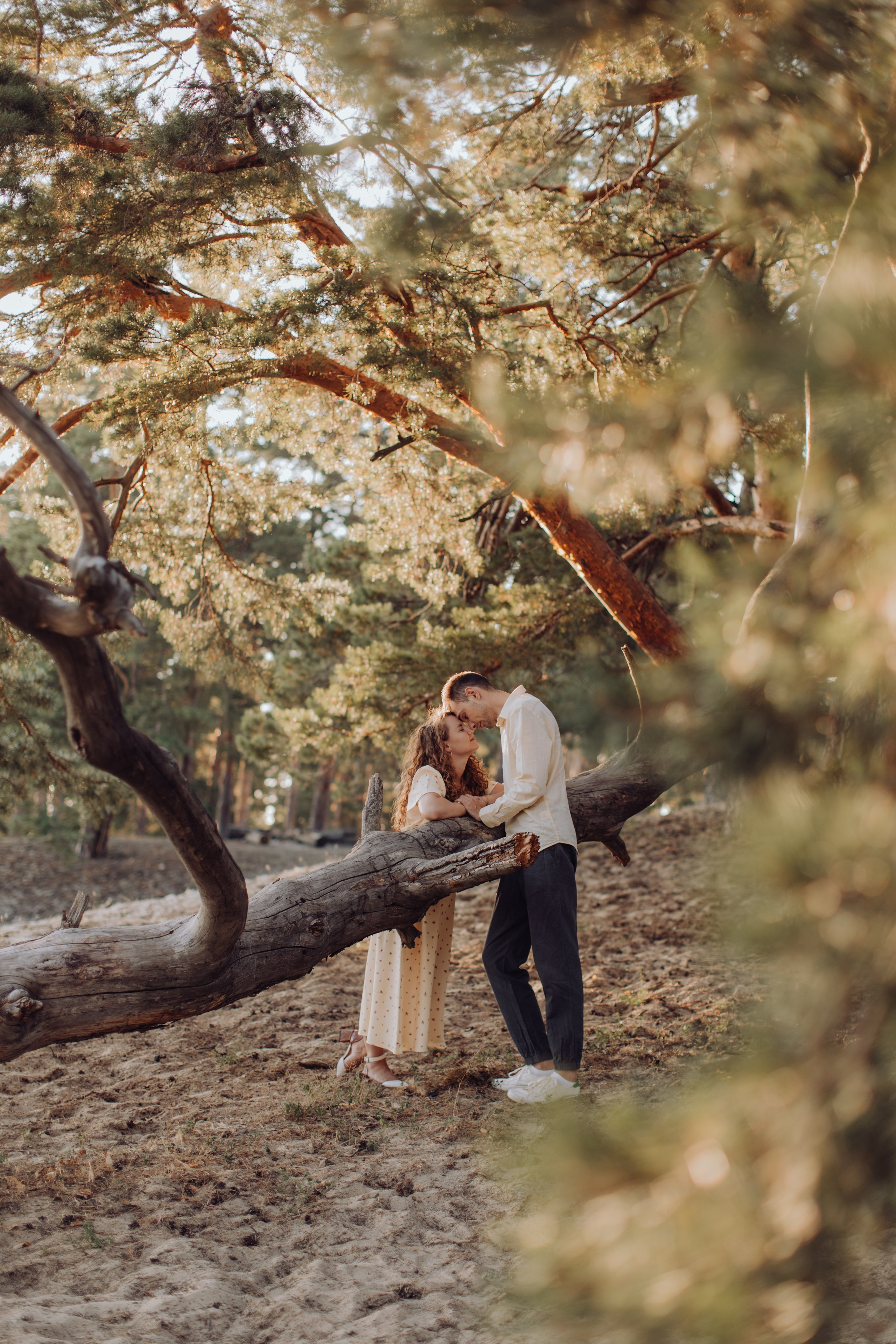 Поповка. Закат. Главная