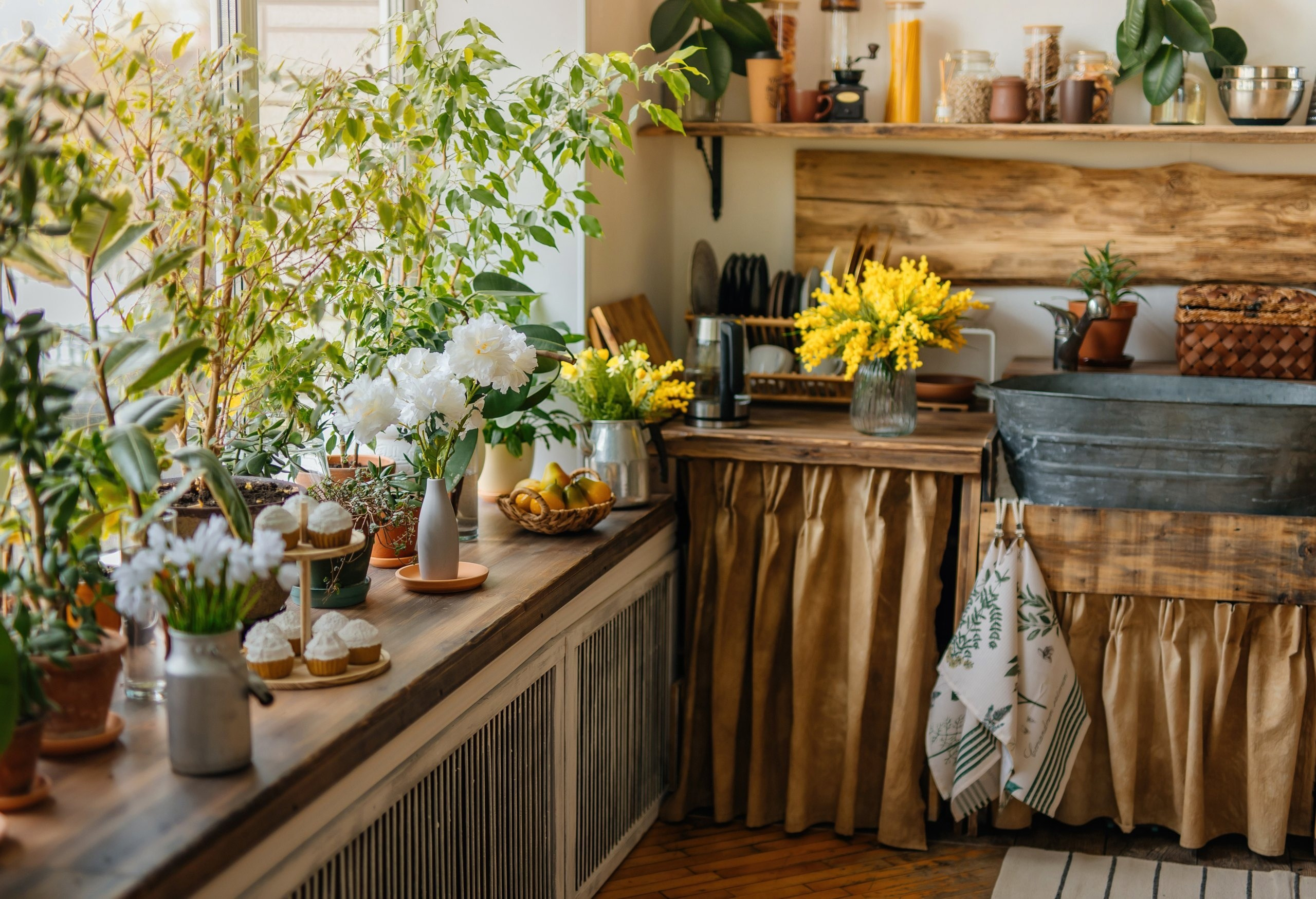 ФЕНИКС «зеленый». Фотограф новорожденных Тверь Диана Муляева