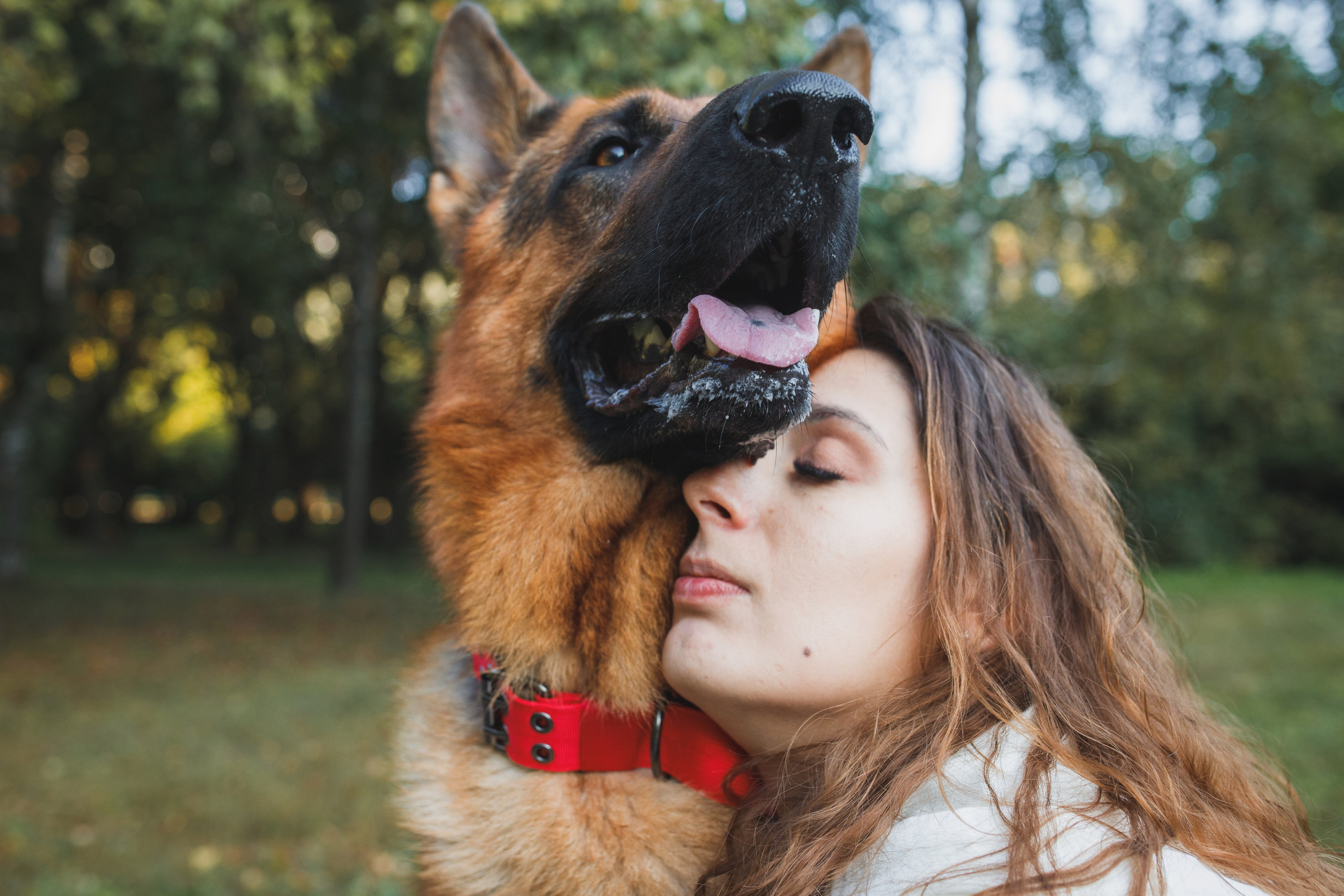 Фотопрогулка молодой девушки и ее собаки летним утром в парке. Семейный и школьный фотограф в Москве Анна Ткач